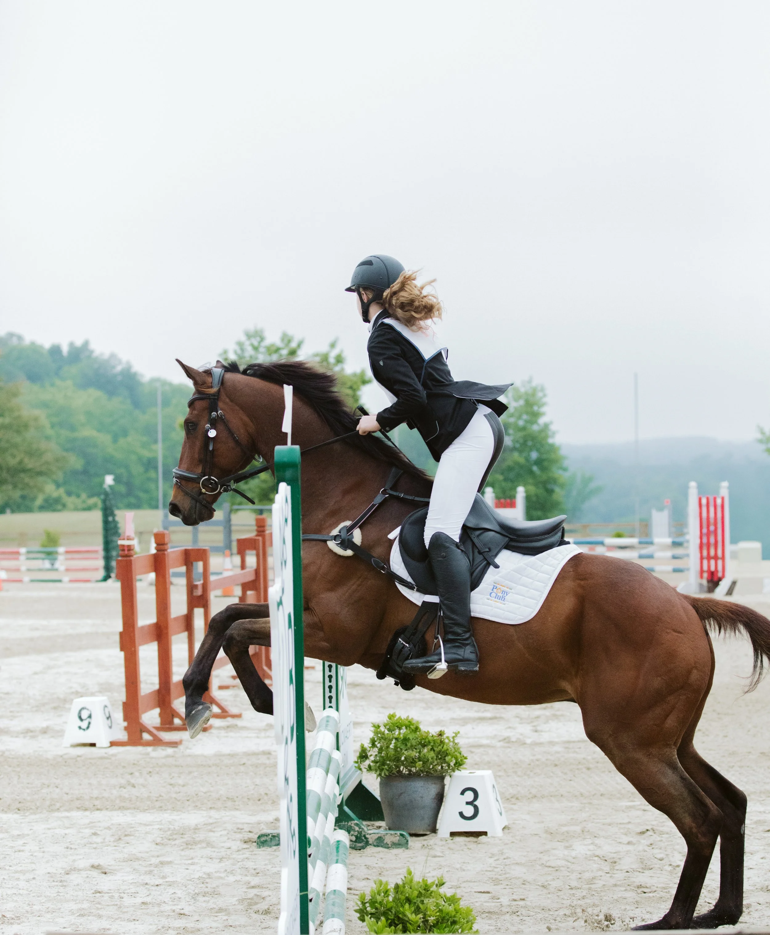 stephany-barboza-ga-show-jumping-photographer1K9A9777.JPG