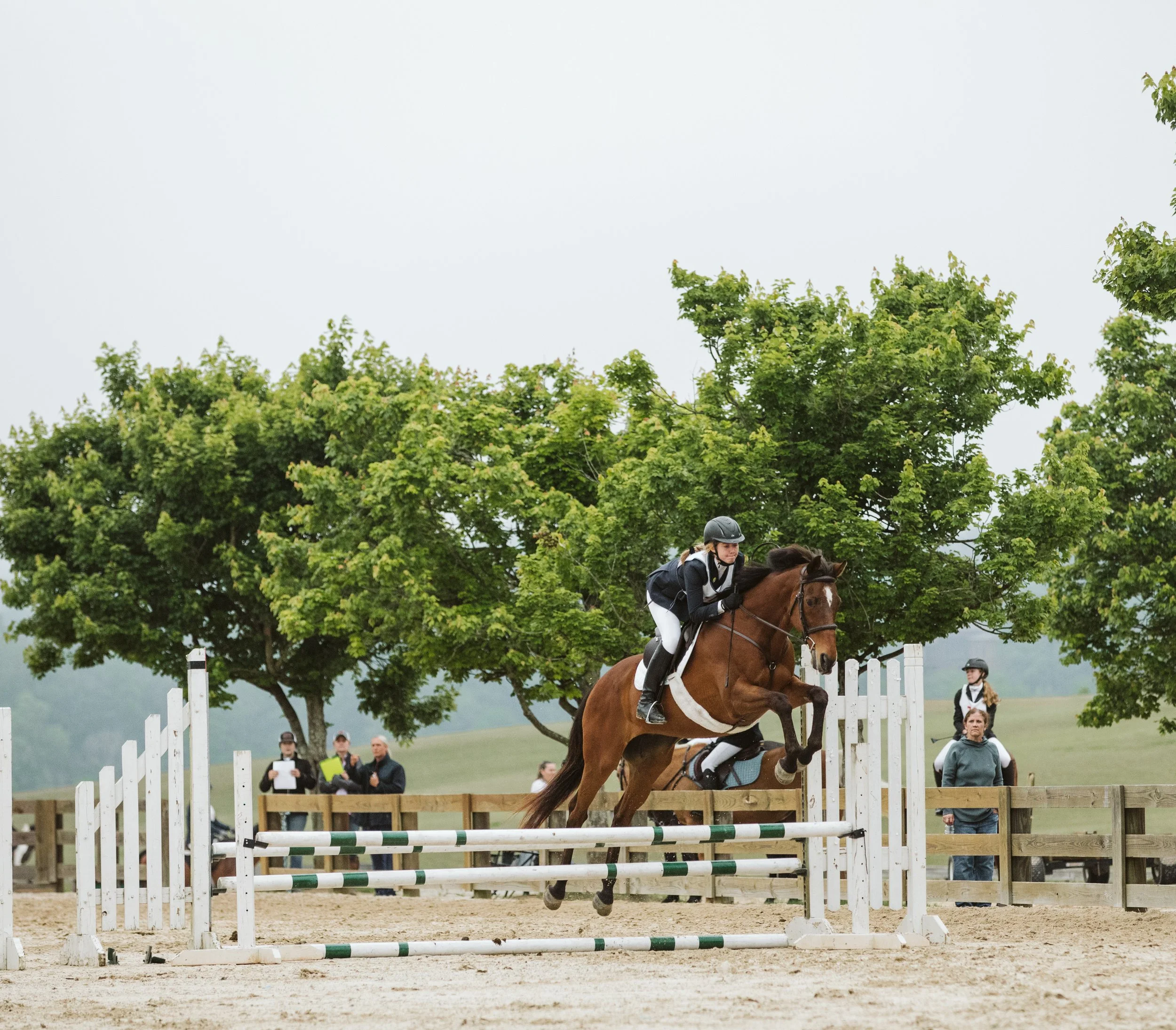 stephany-barboza-ga-show-jumping-photographer1K9A9849.JPG