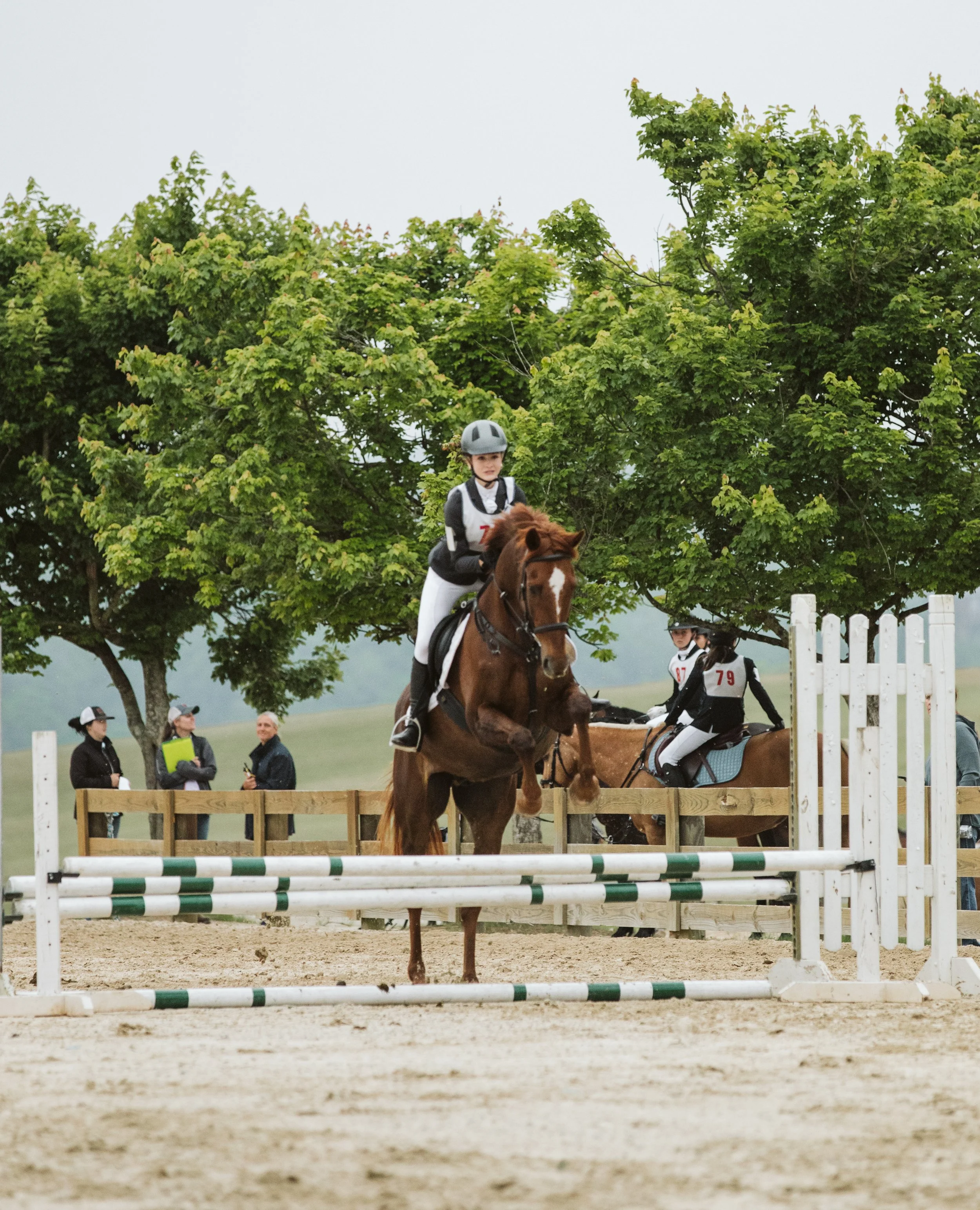 stephany-barboza-ga-show-jumping-photographer1K9A9866.JPG