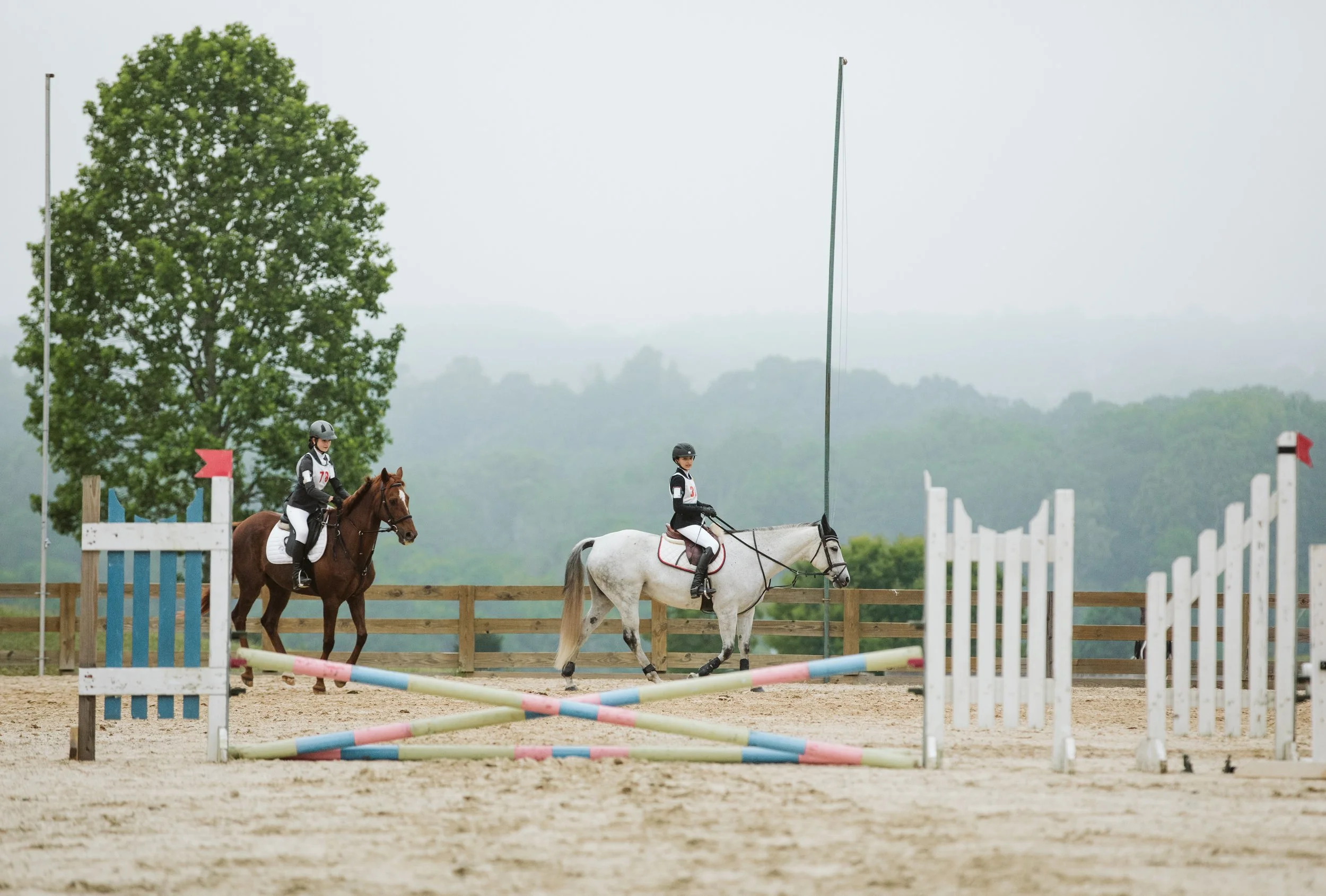 stephany-barboza-ga-show-jumping-photographer1K9A9878.JPG
