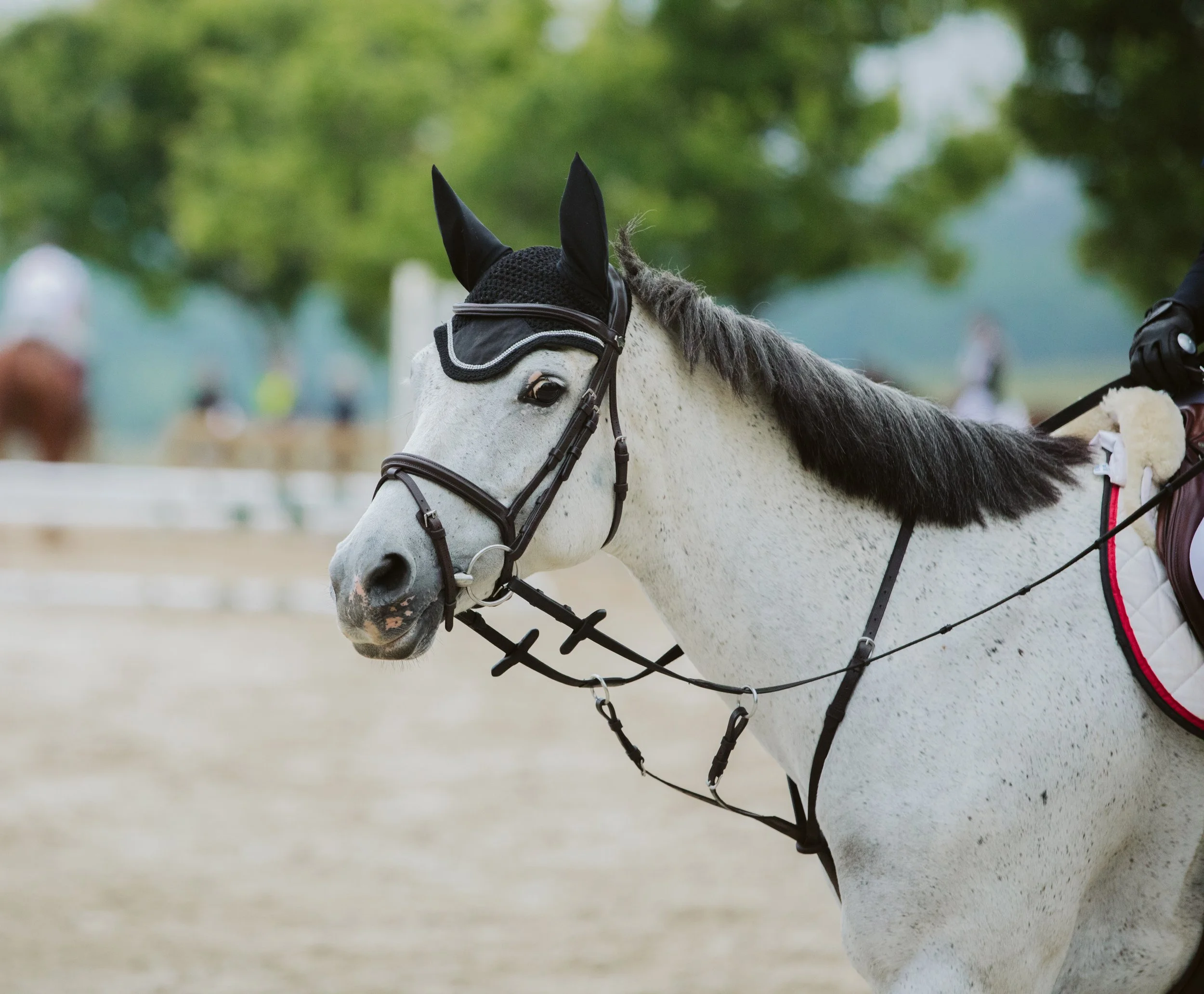 stephany-barboza-ga-show-jumping-photographer1K9A9892.JPG