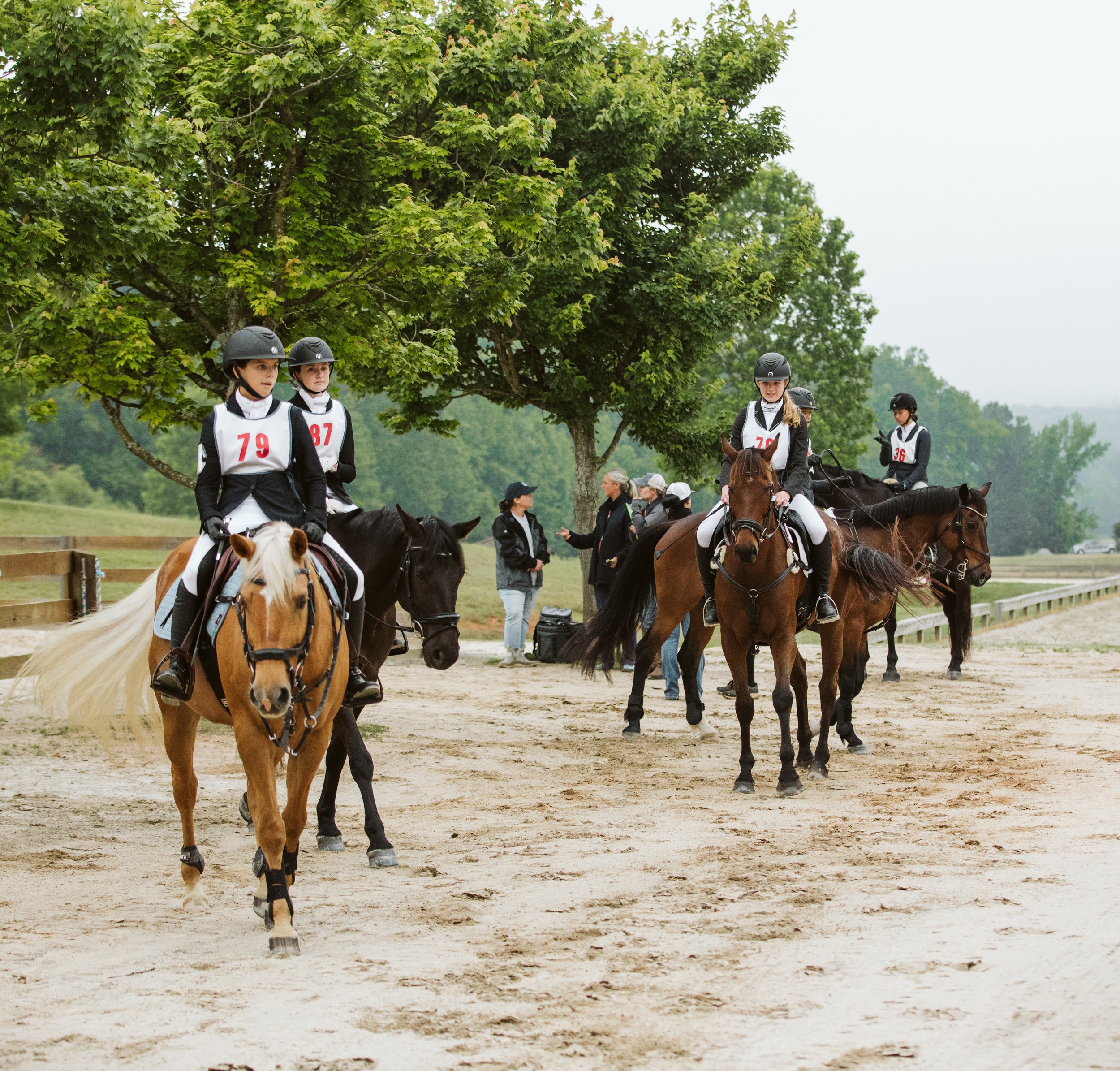 stephany-barboza-ga-show-jumping-photographer1K9A9910.JPG