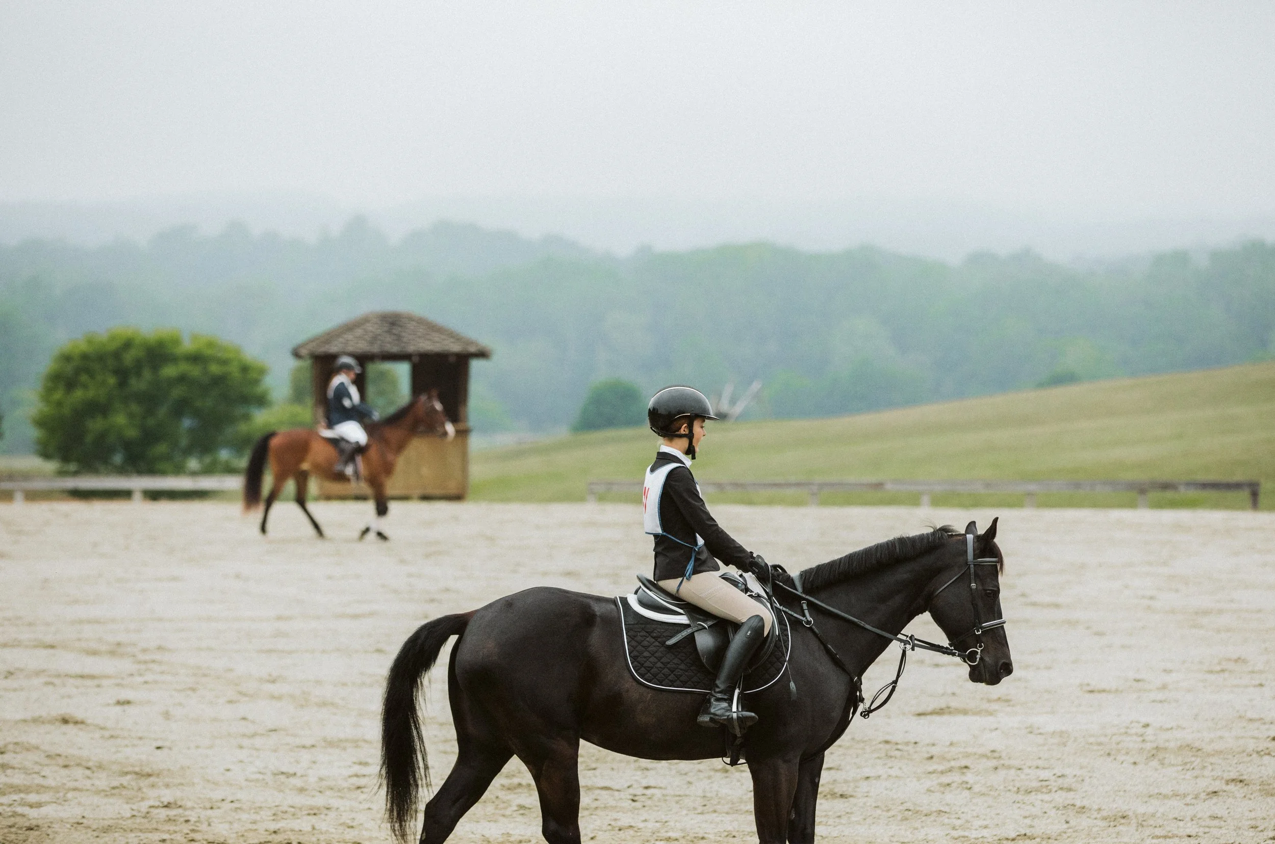 stephany-barboza-ga-show-jumping-photographer1K9A9930.JPG