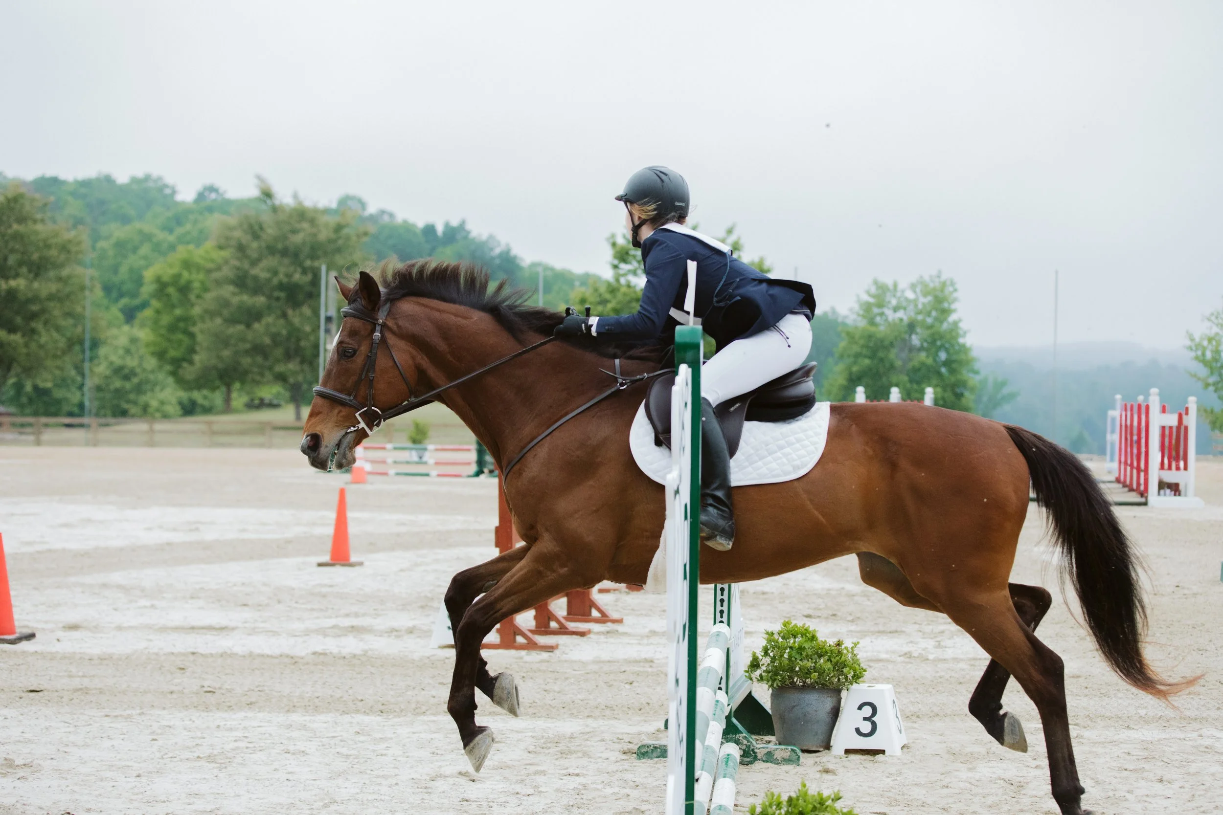 stephany-barboza-ga-show-jumping-photographer1K9A9941.JPG