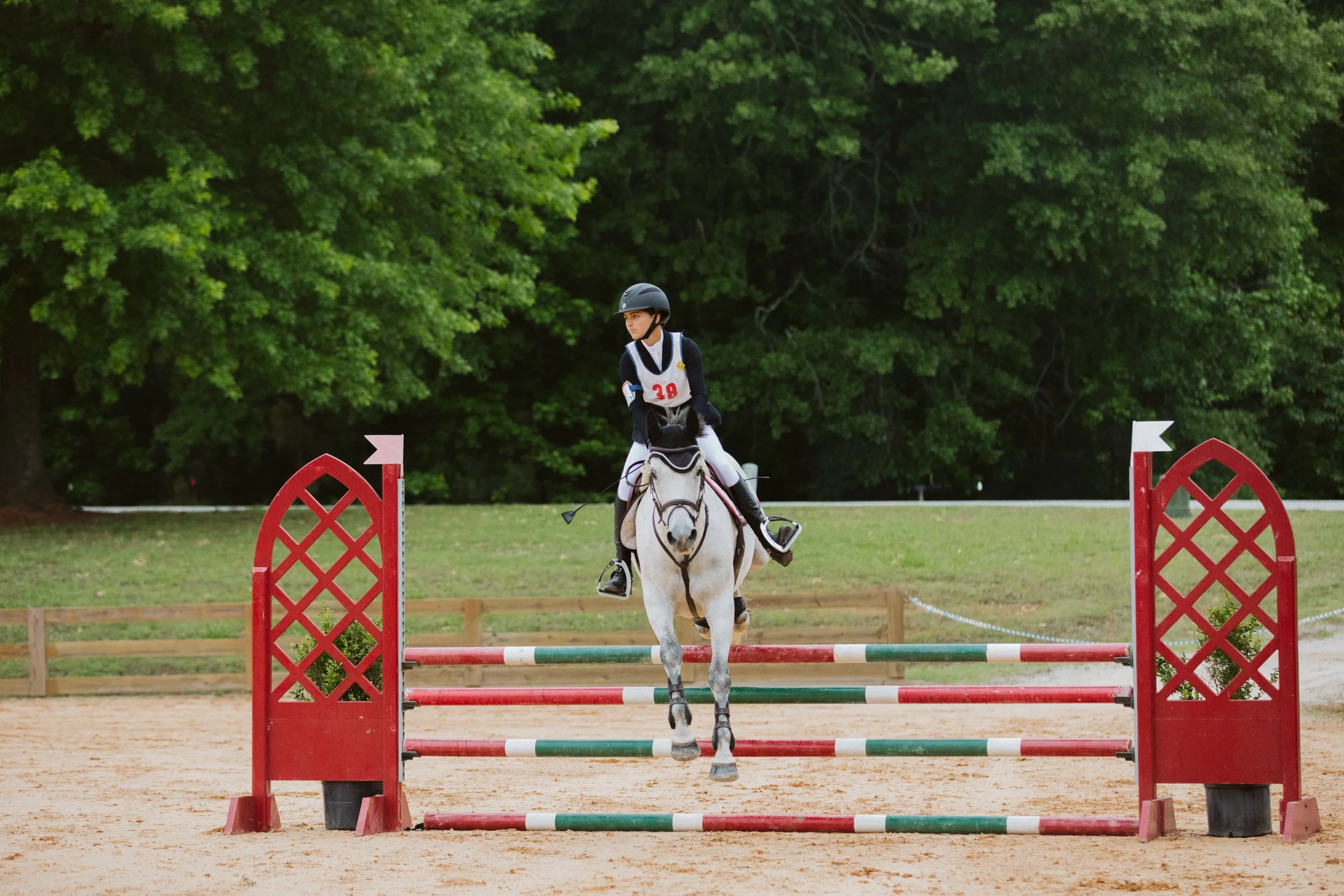 stephany-barboza-ga-show-jumping-photographer1K9A9998.JPG