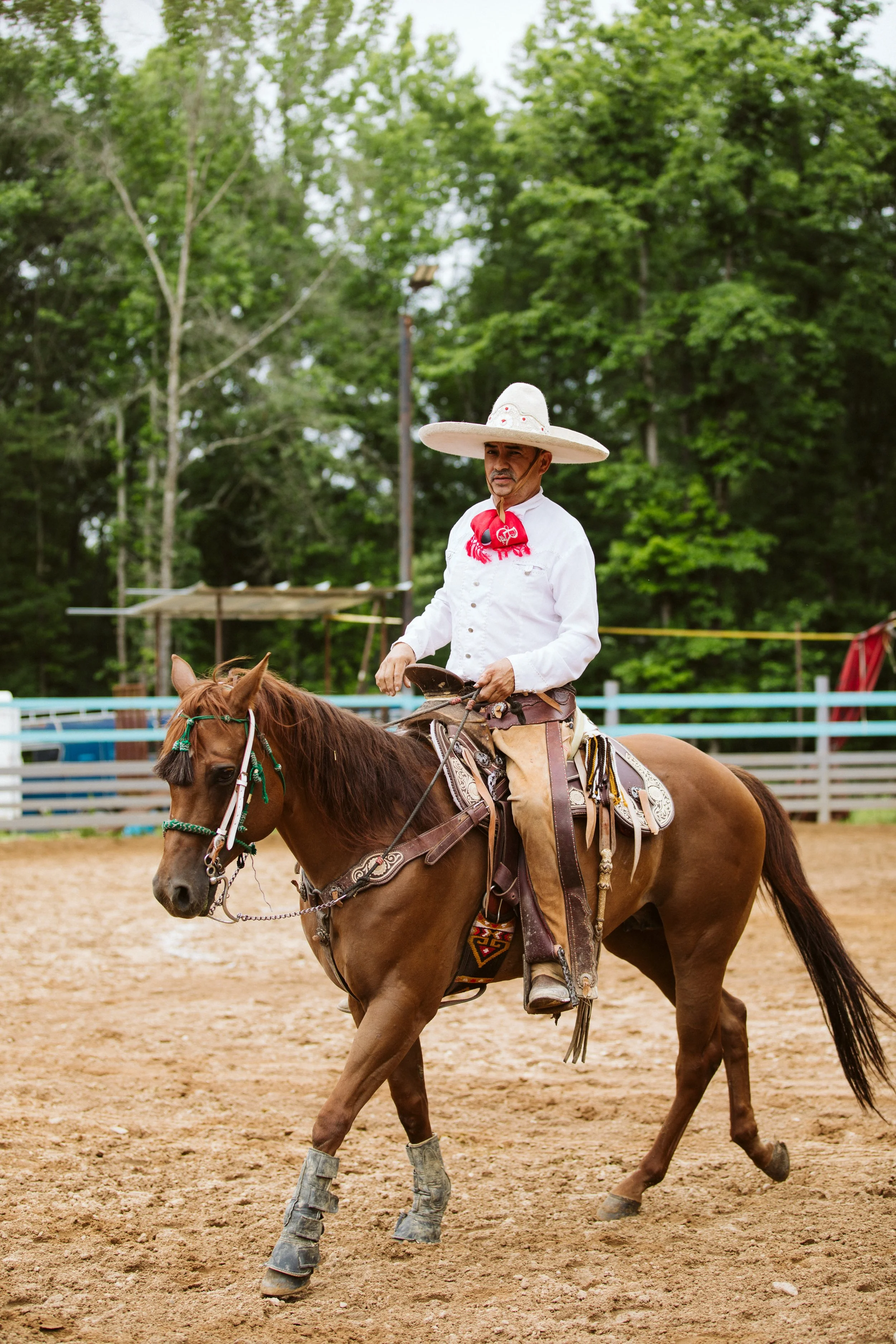 stephany-barboza-photographer-ga-charros1K9A2669.jpg