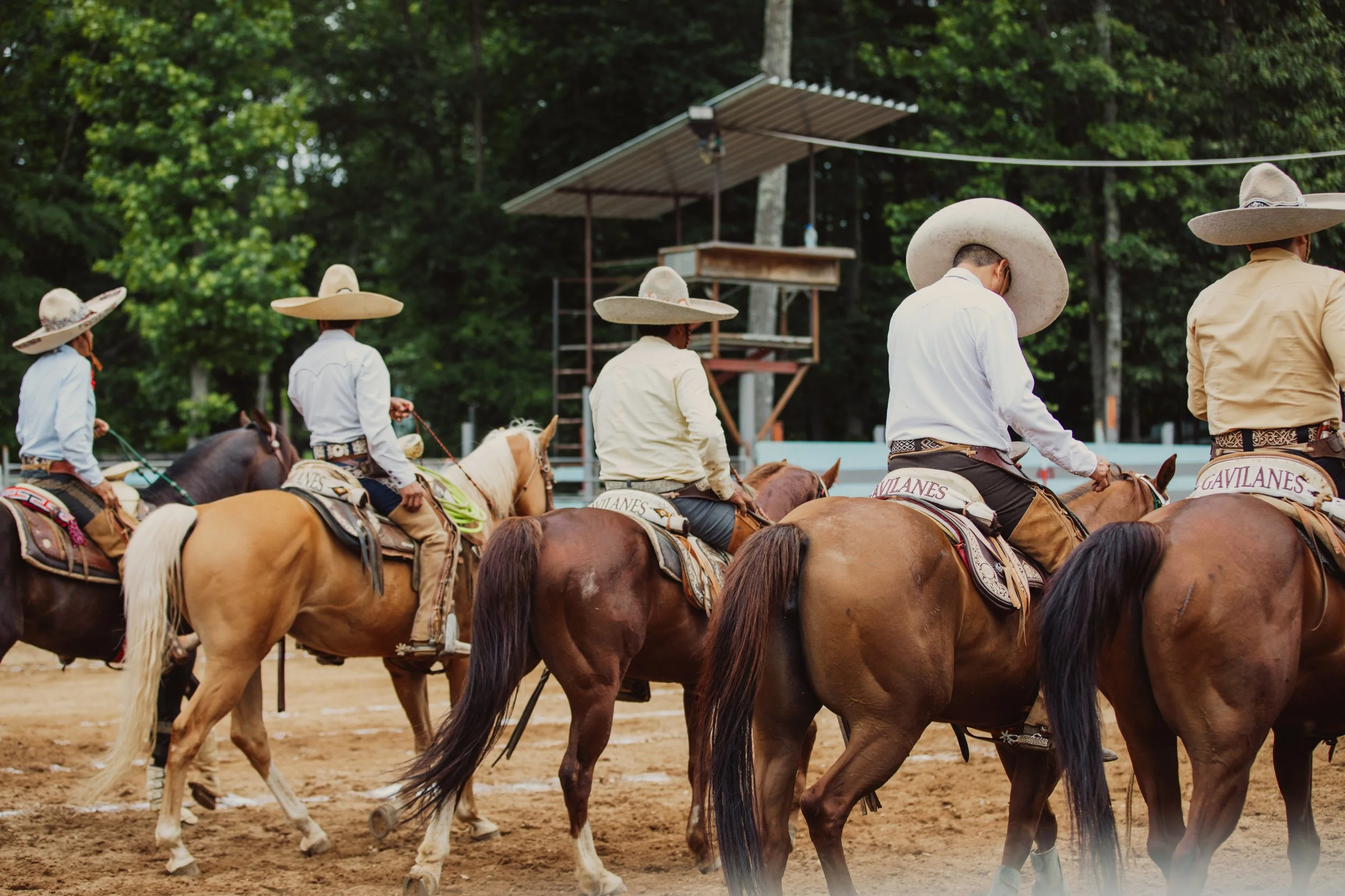 stephany-barboza-photographer-ga-charros1K9A3160.jpg