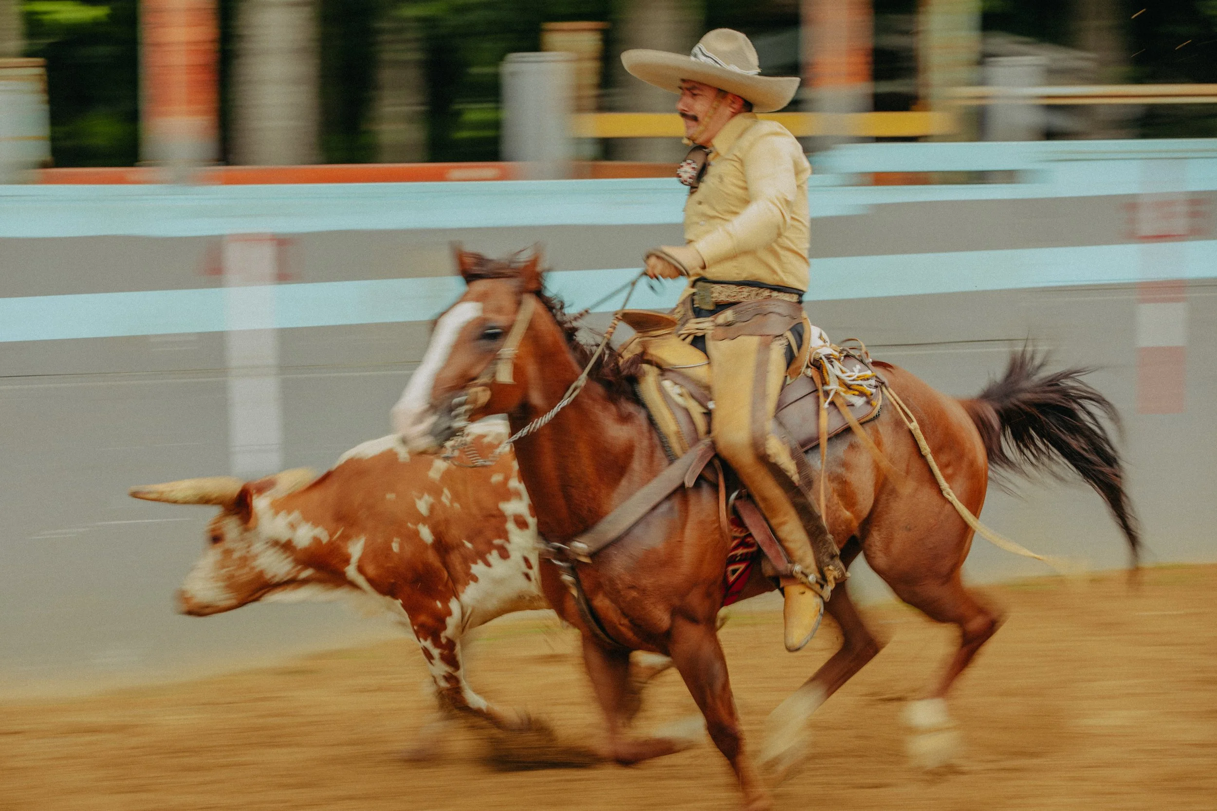 stephany-barboza-photographer-ga-charros1K9A3596.jpg