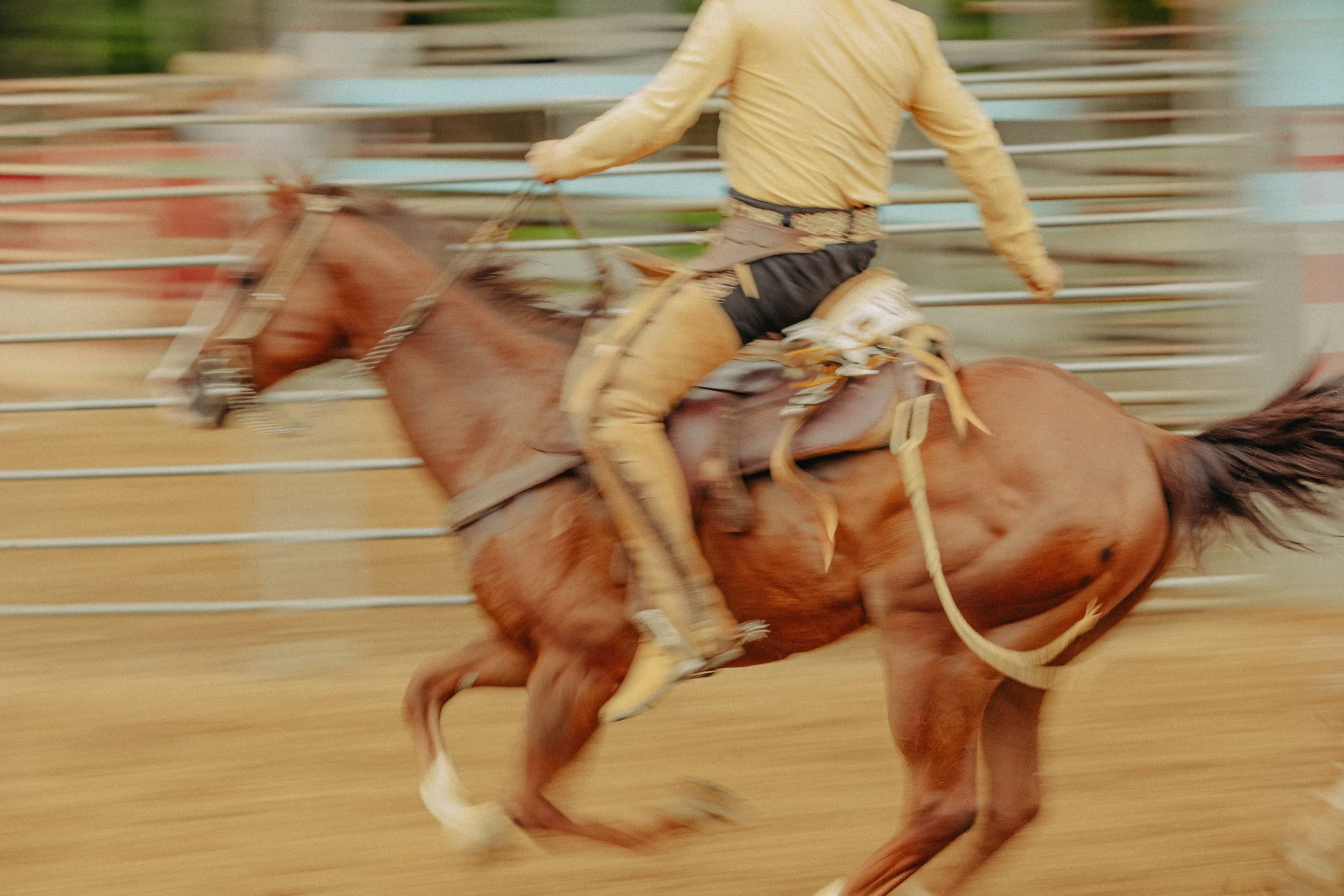 stephany-barboza-photographer-ga-charros1K9A3599.jpg