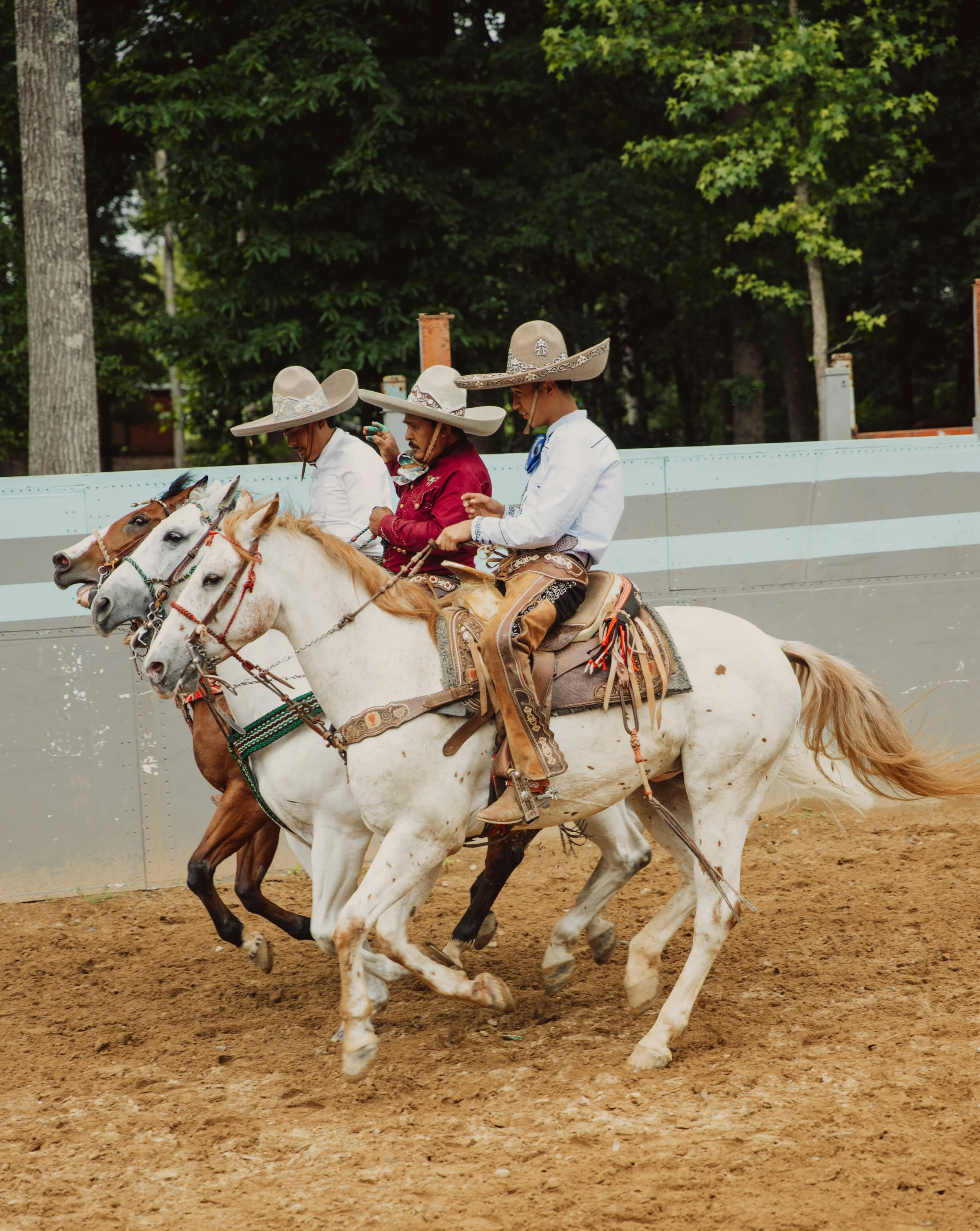 stephany-barboza-photographer-ga-charrosIMG_2297.jpg