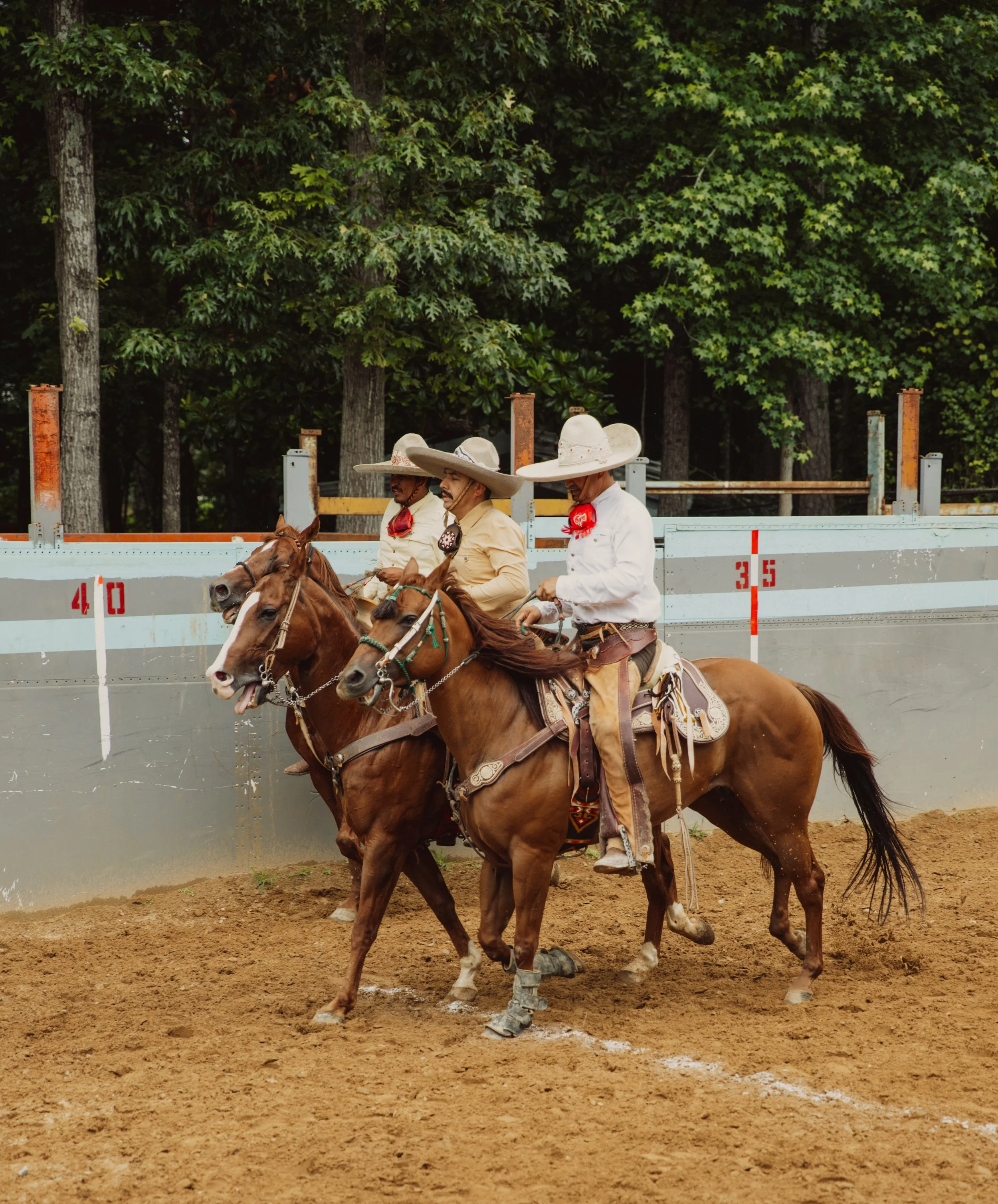stephany-barboza-photographer-ga-charrosIMG_2304.jpg
