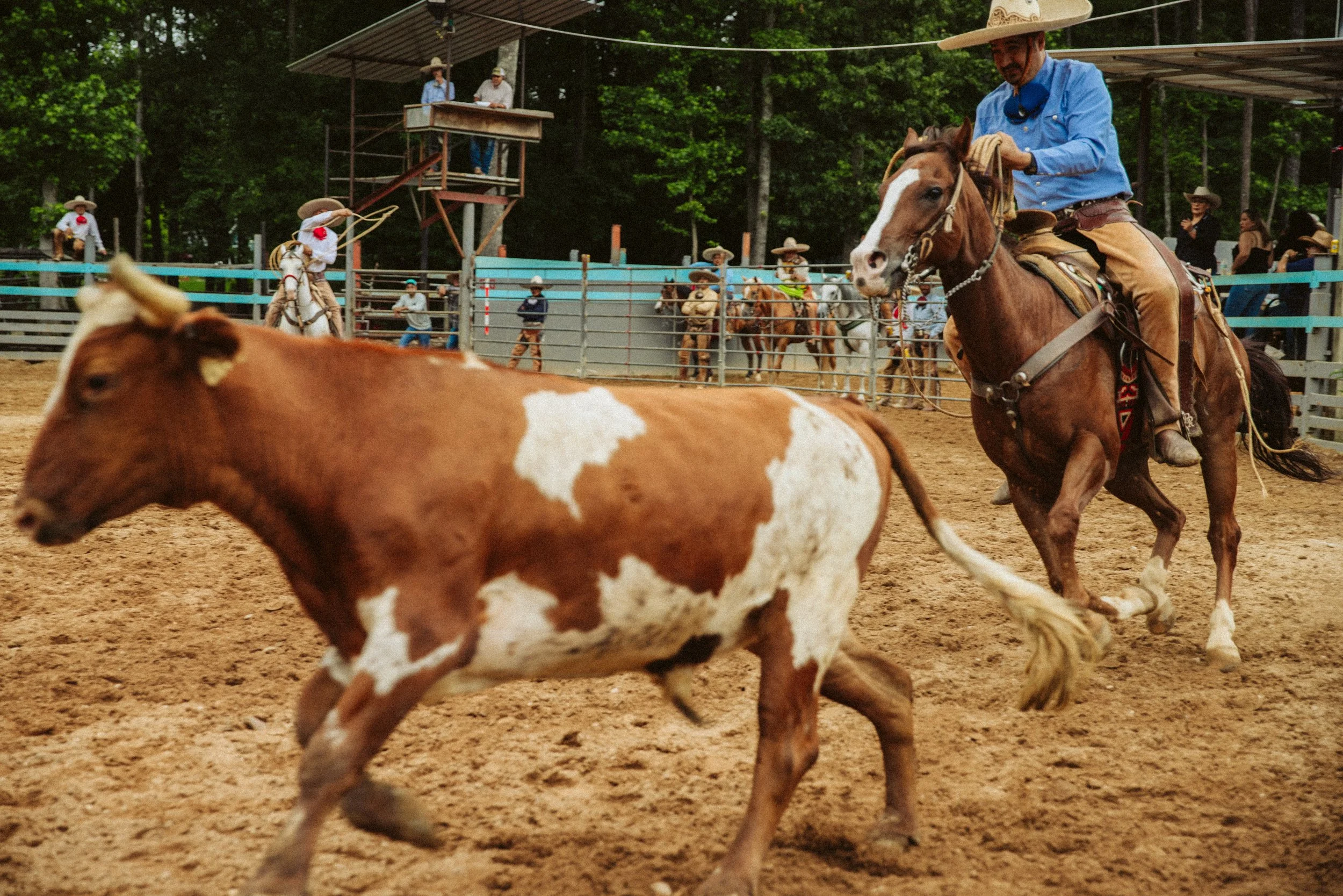 stephany-barboza-photographer-ga-charrosIMG_2611.jpg