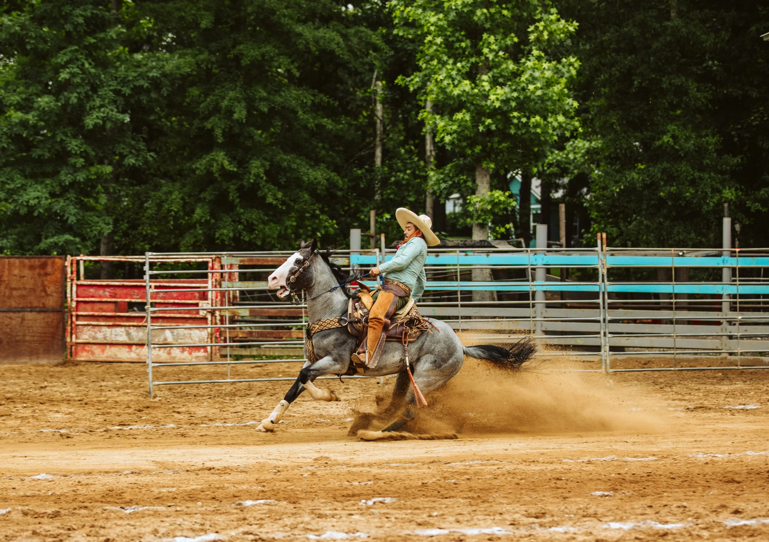 Traditional Charro Horsemanship