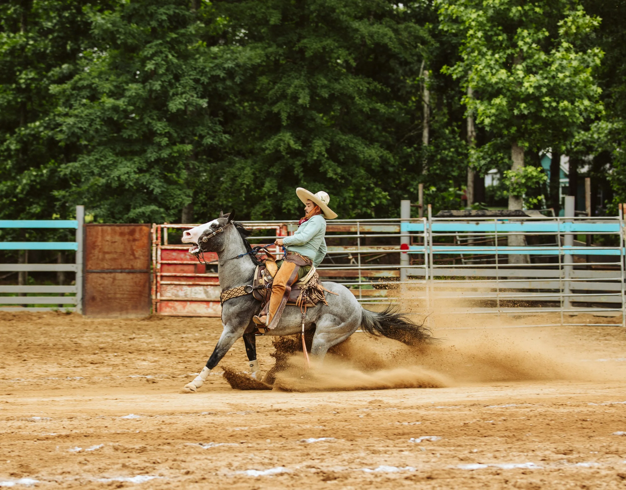 Coleadero Competition at a Georgia Charreada