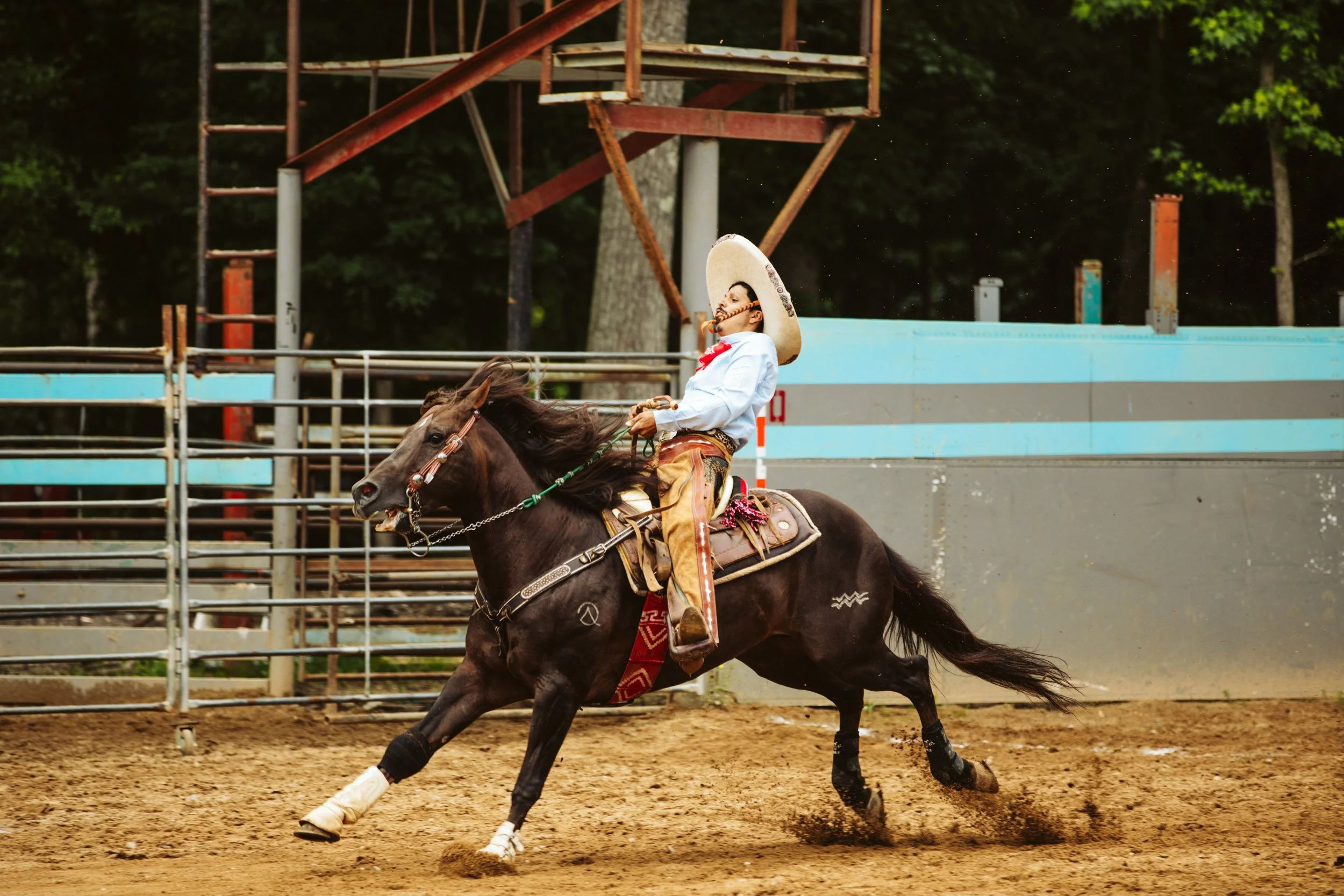 Charro Riding at Full Speed
