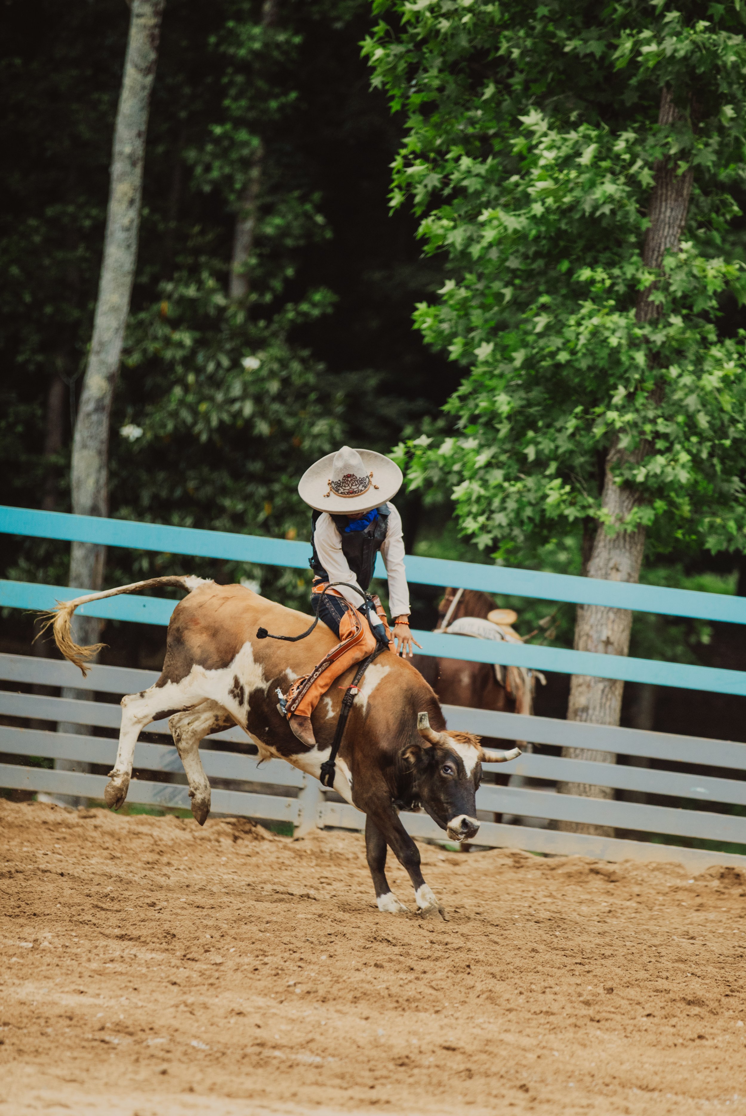 Calf Roping Competition at Charreada