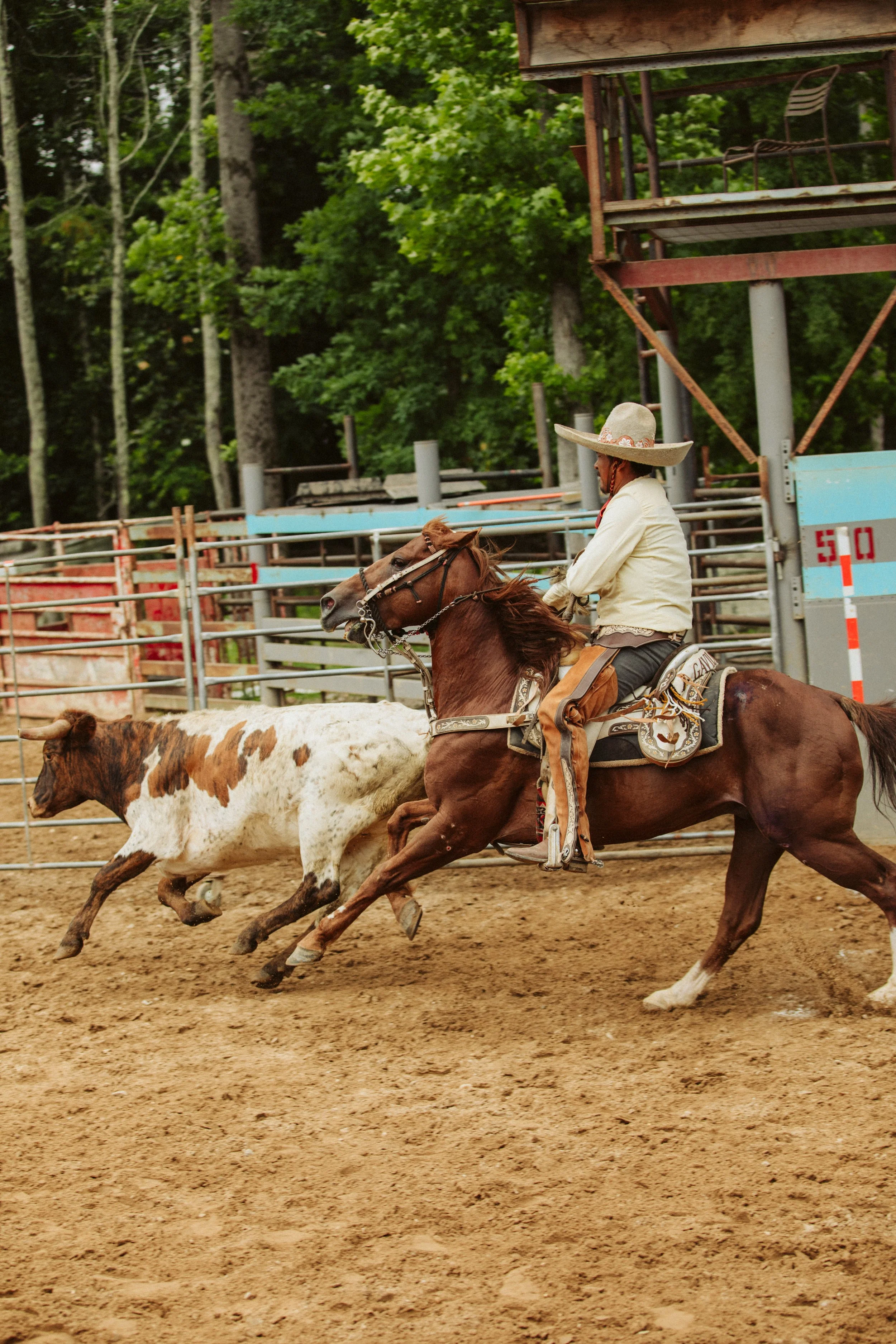 Fast-Paced Charreada Competition
