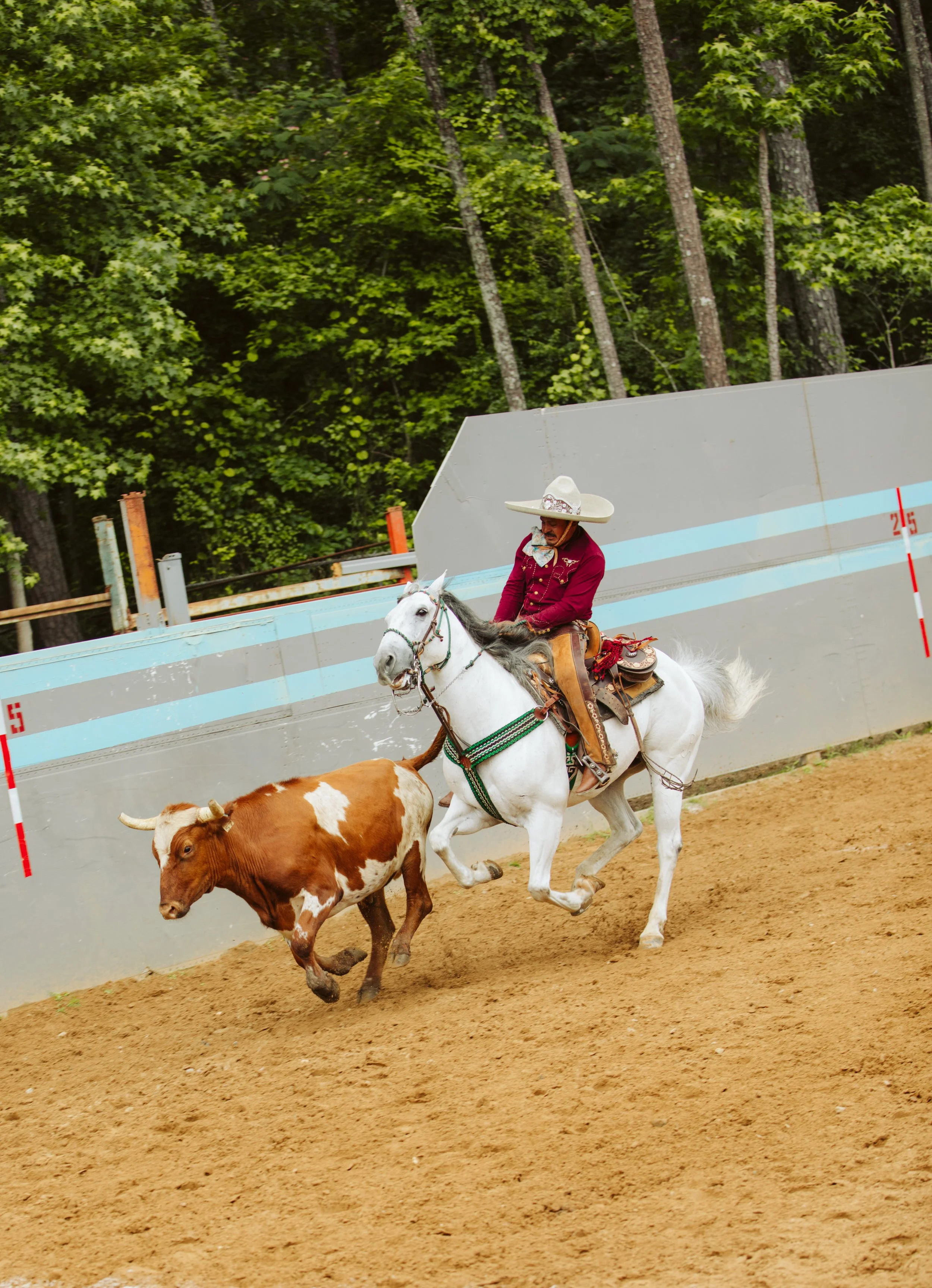 Traditional Livestock Event at Charreada