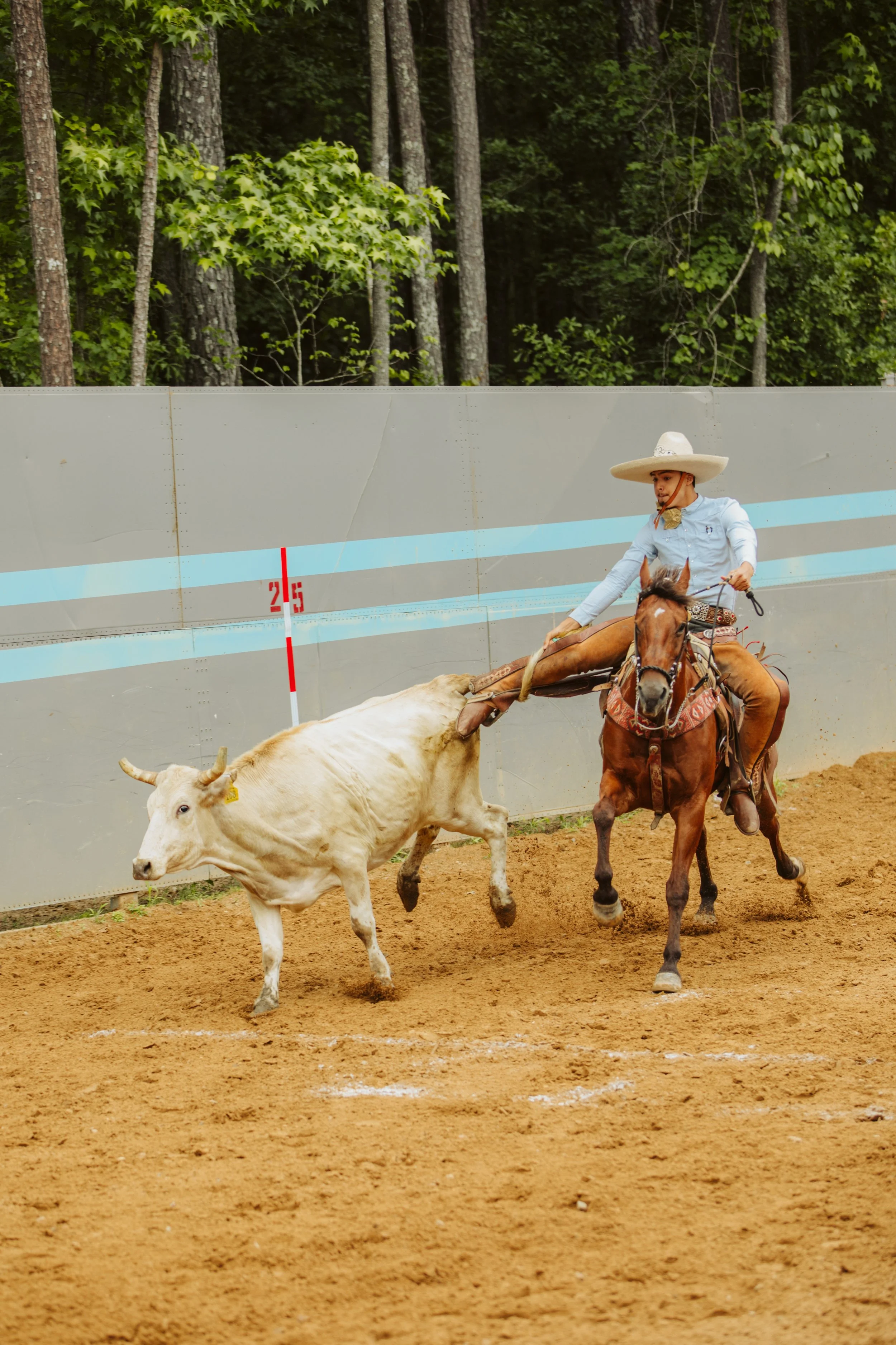 Horsemanship and Cattle Work