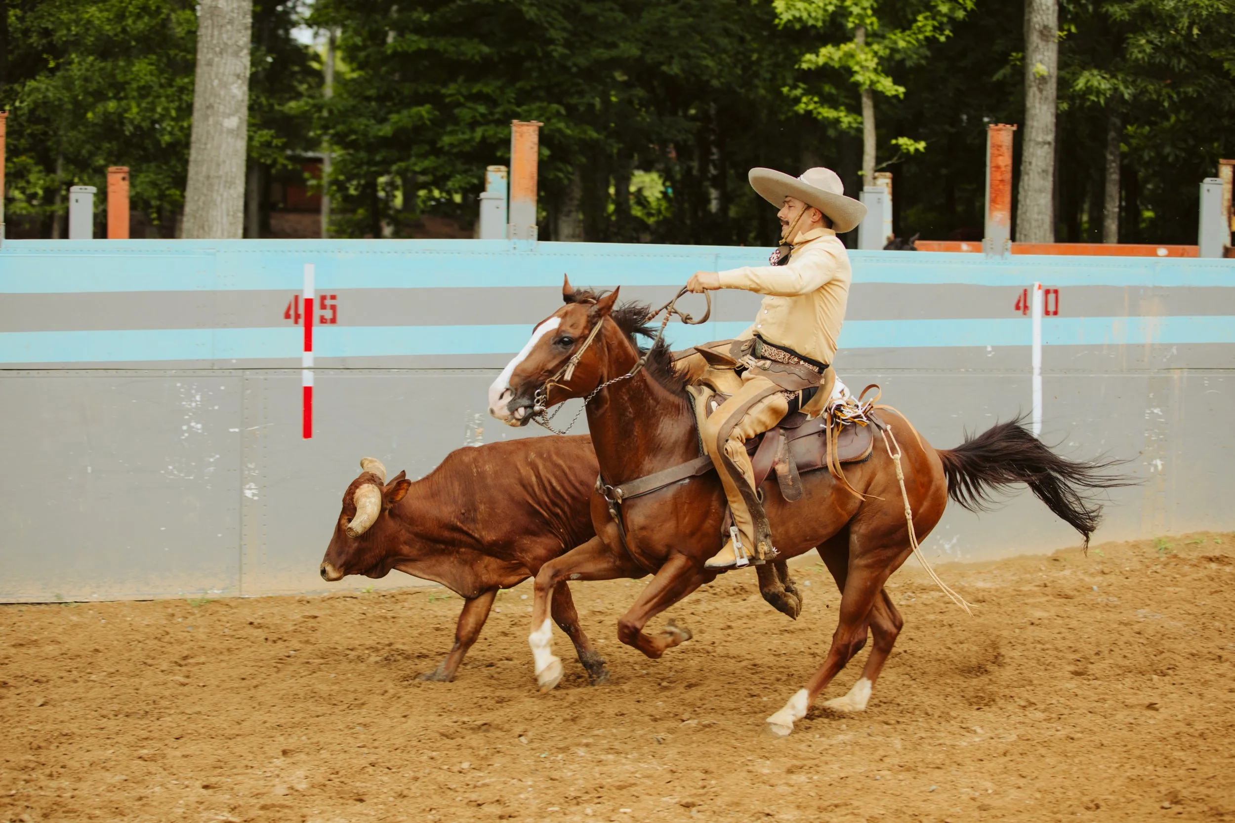 High-Speed Coleadero Event