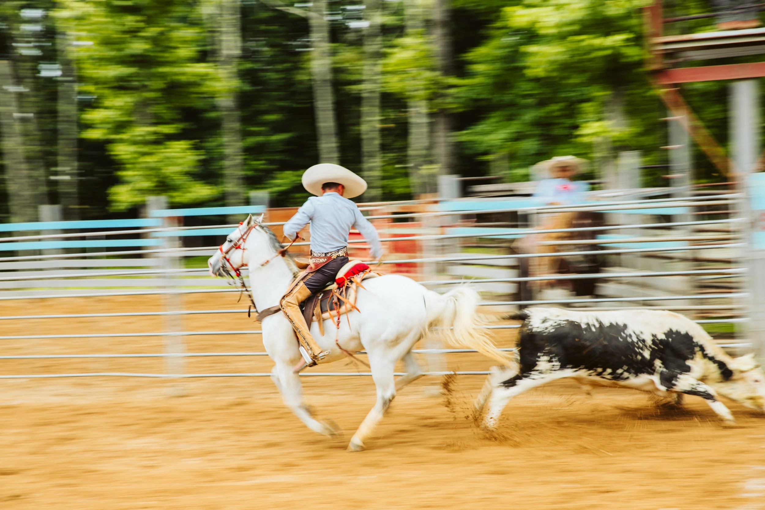 Rider in Motion