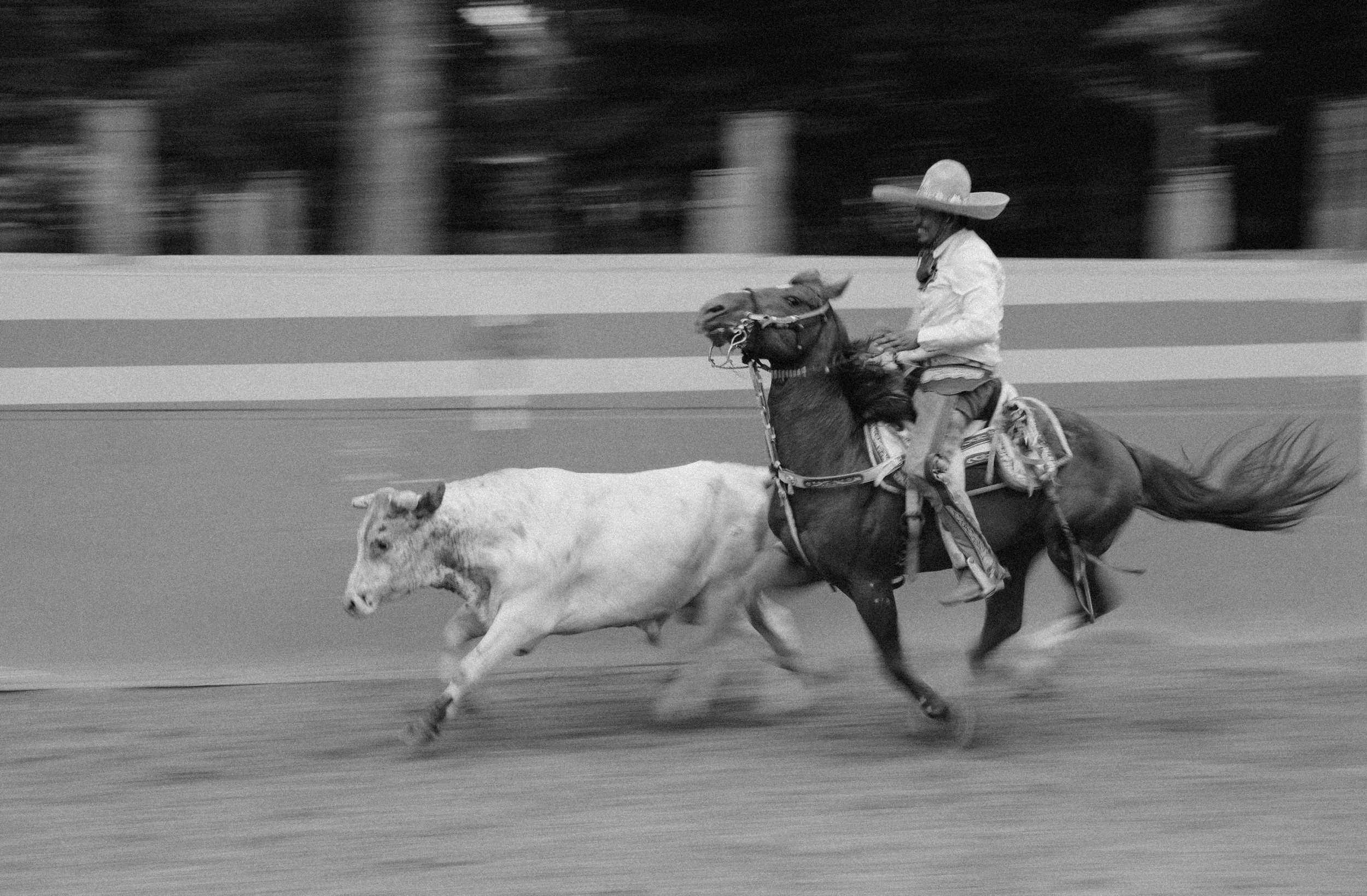 Black and White Charreada Action Photo