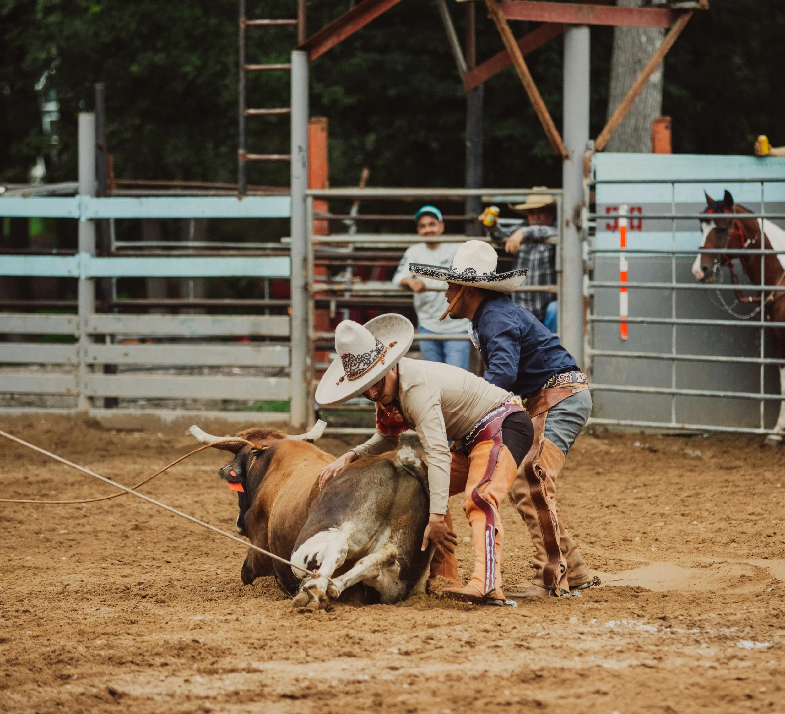 Charro Teamwork During Competition