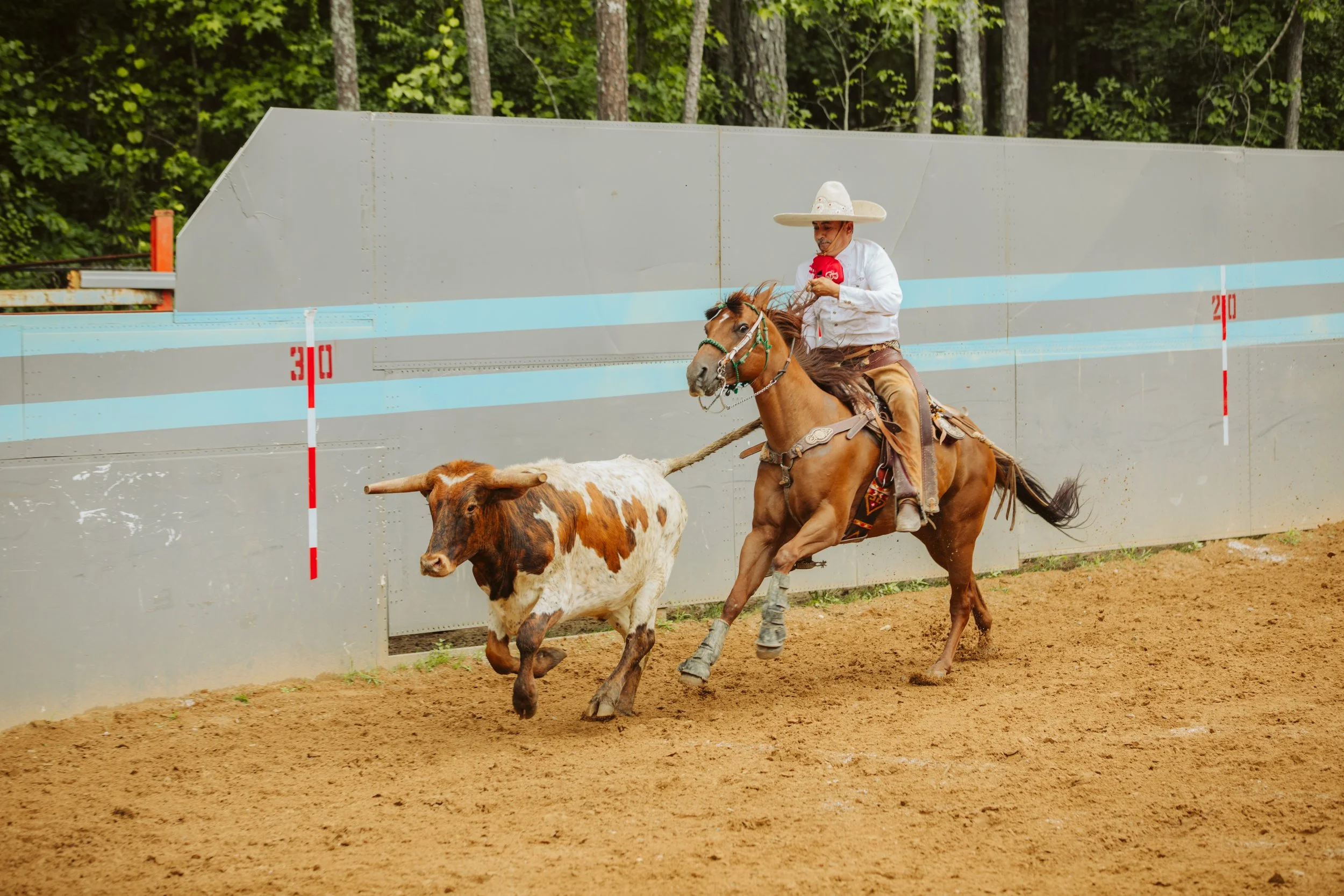 What Is a Charreada? Mexico's Traditional Equestrian Sport