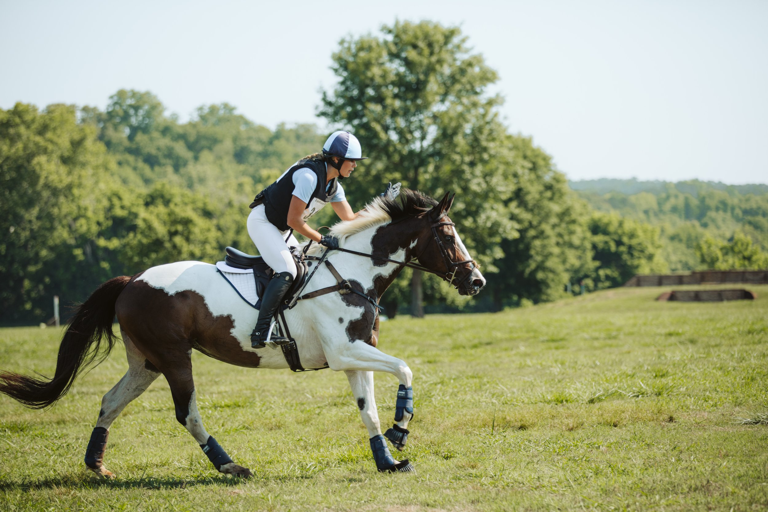stephany-barboza-photographer-ga-horse-show1K9A0011.JPG