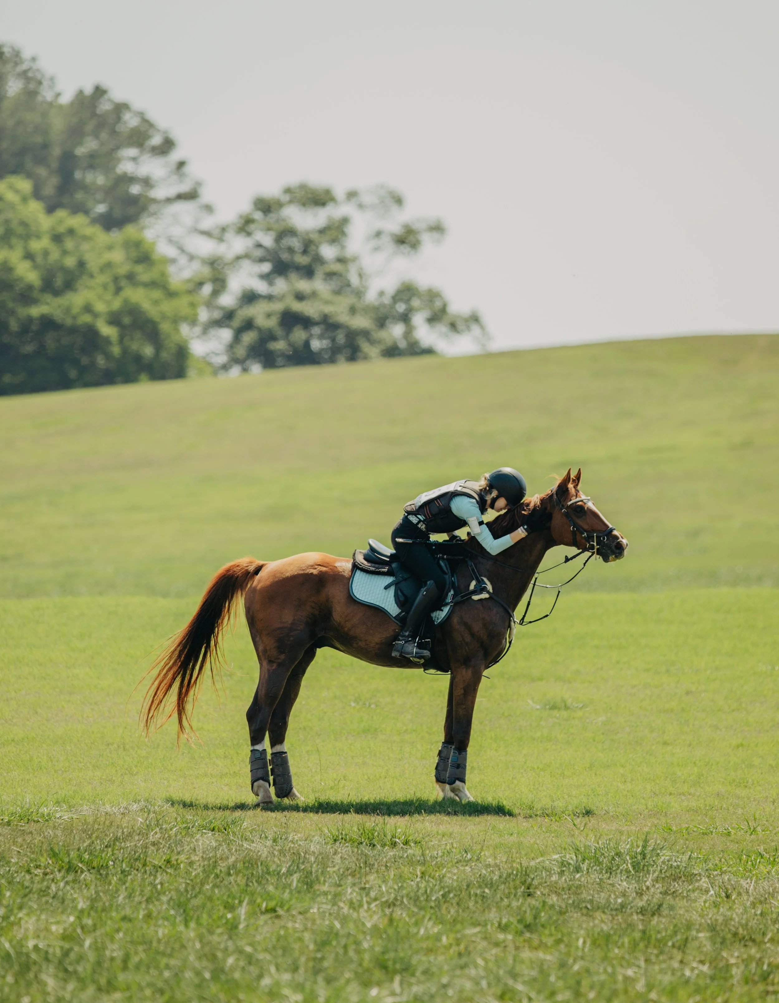stephany-barboza-photographer-ga-horse-show1K9A0851.JPG