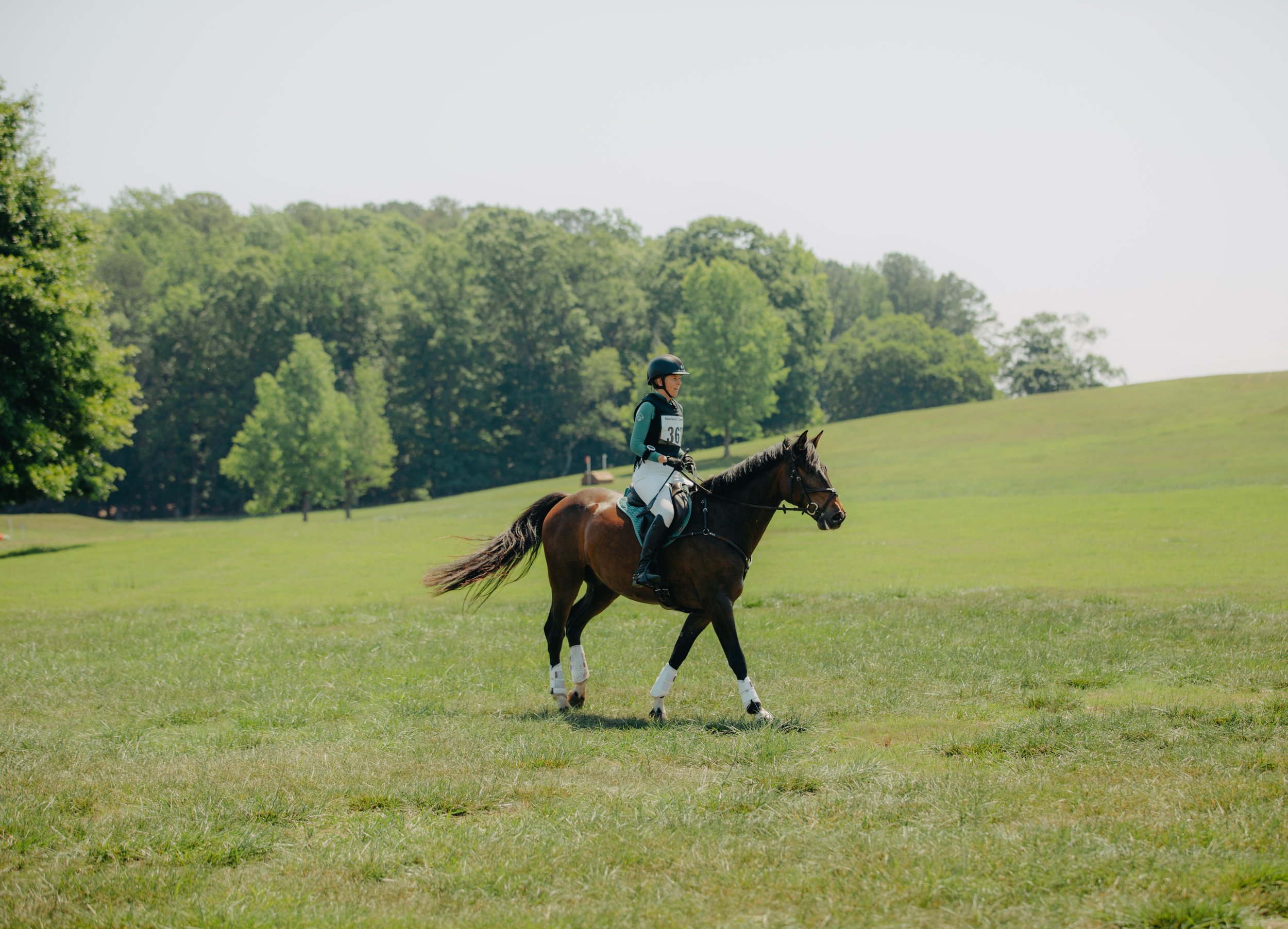 stephany-barboza-photographer-ga-horse-show1K9A1307.JPG