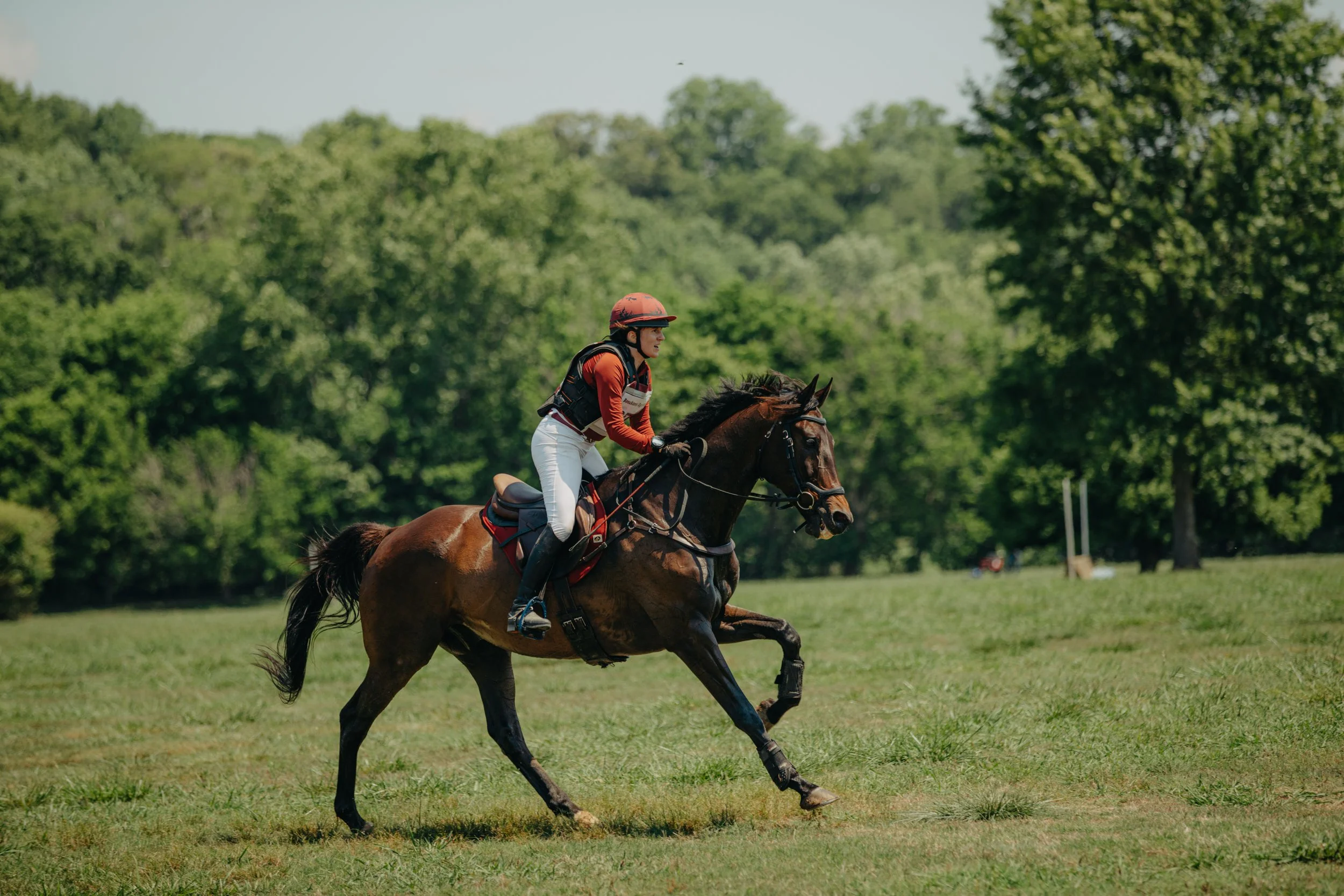 stephany-barboza-photographer-ga-horse-show1K9A1541.JPG