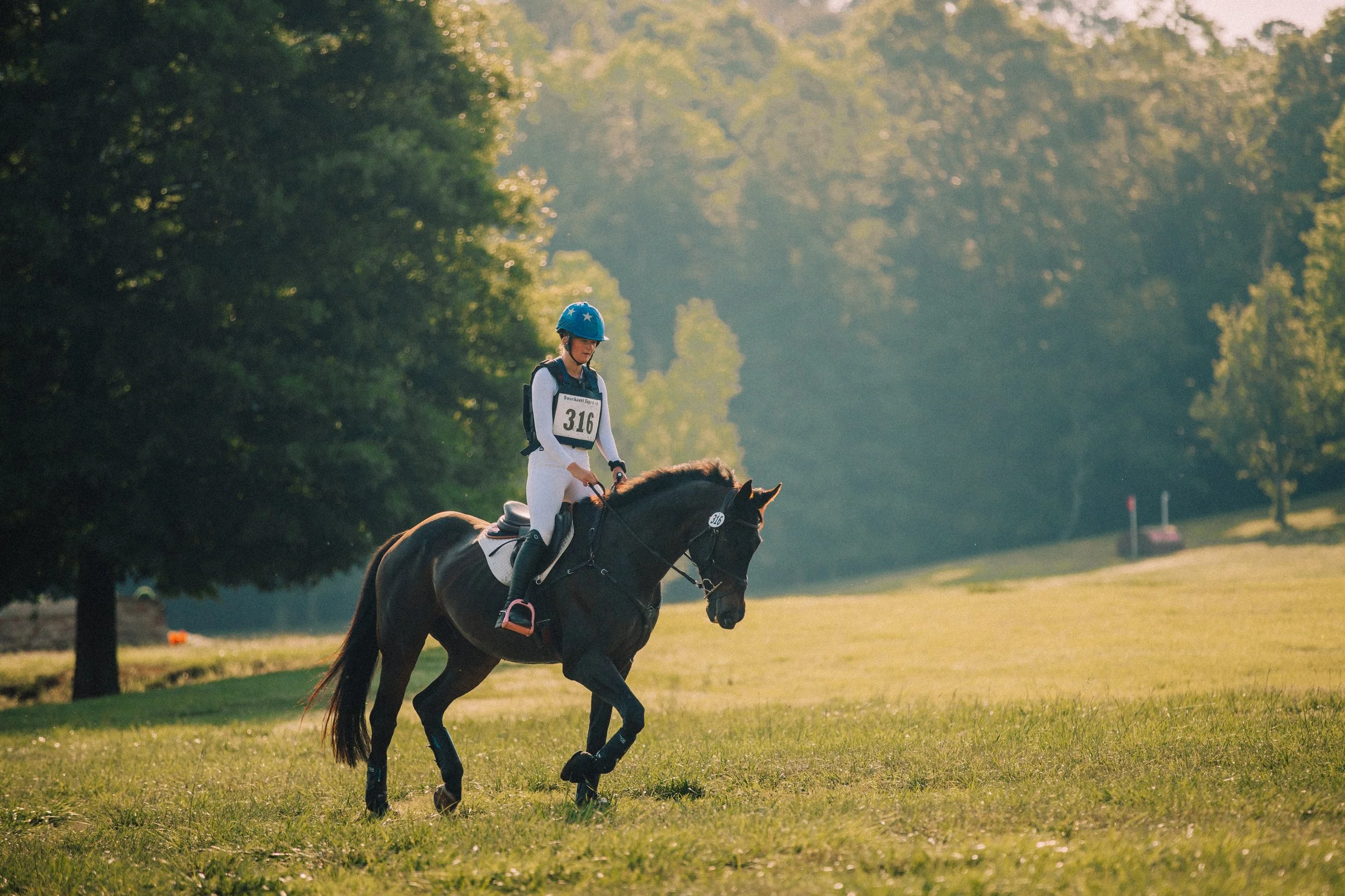 stephany-barboza-photographer-ga-horse-show1K9A9069.JPG