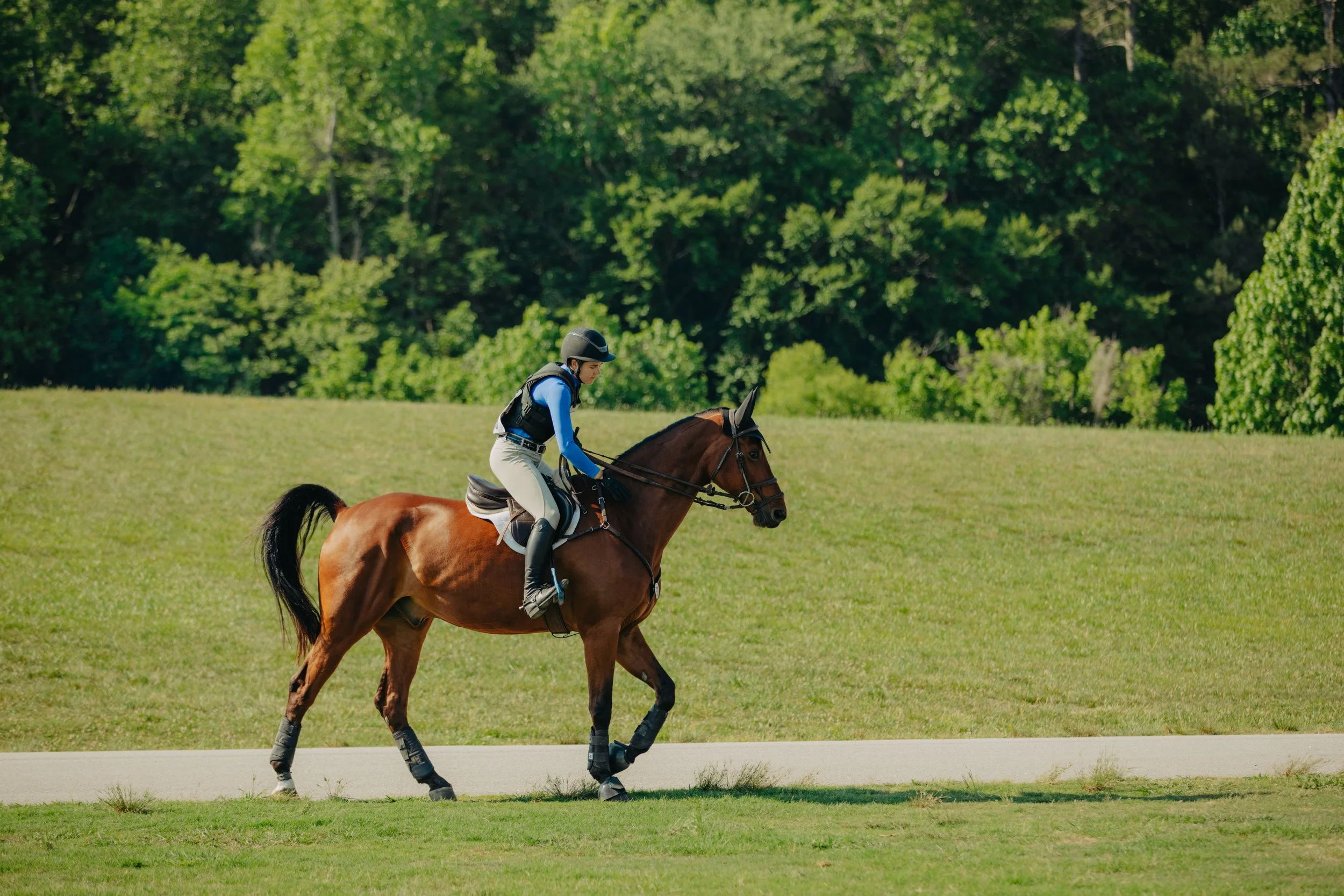 stephany-barboza-photographer-ga-horse-show1K9A9602.JPG