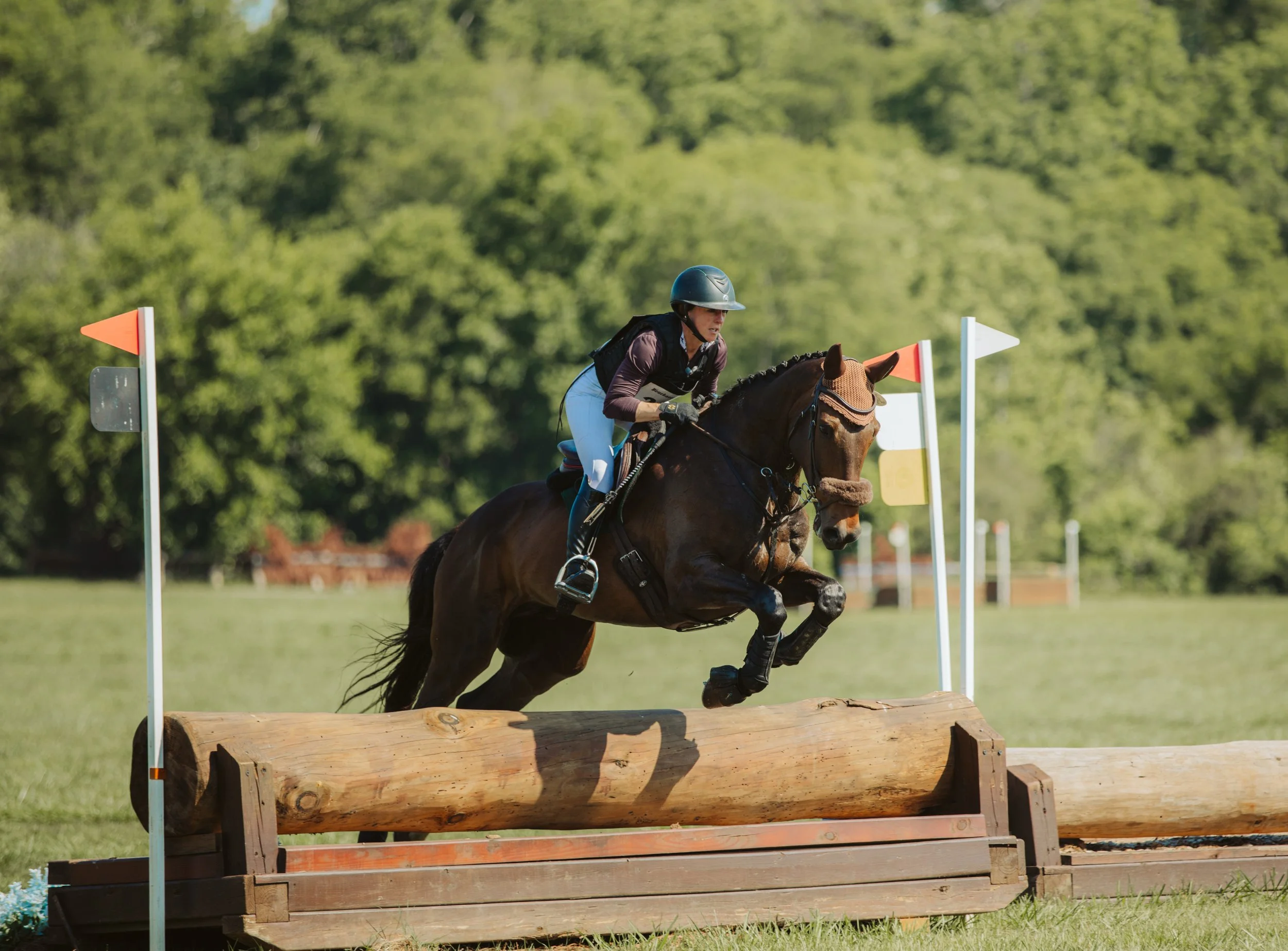 stephany-barboza-photographer-ga-horse-show1K9A0072.JPG