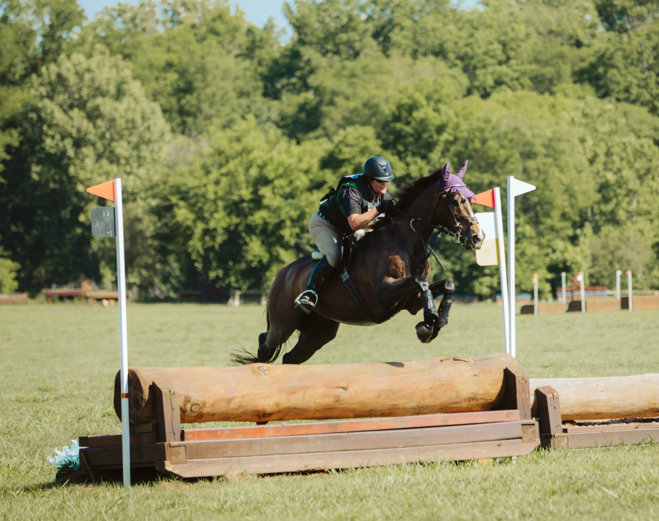 stephany-barboza-photographer-ga-horse-show1K9A9758.JPG