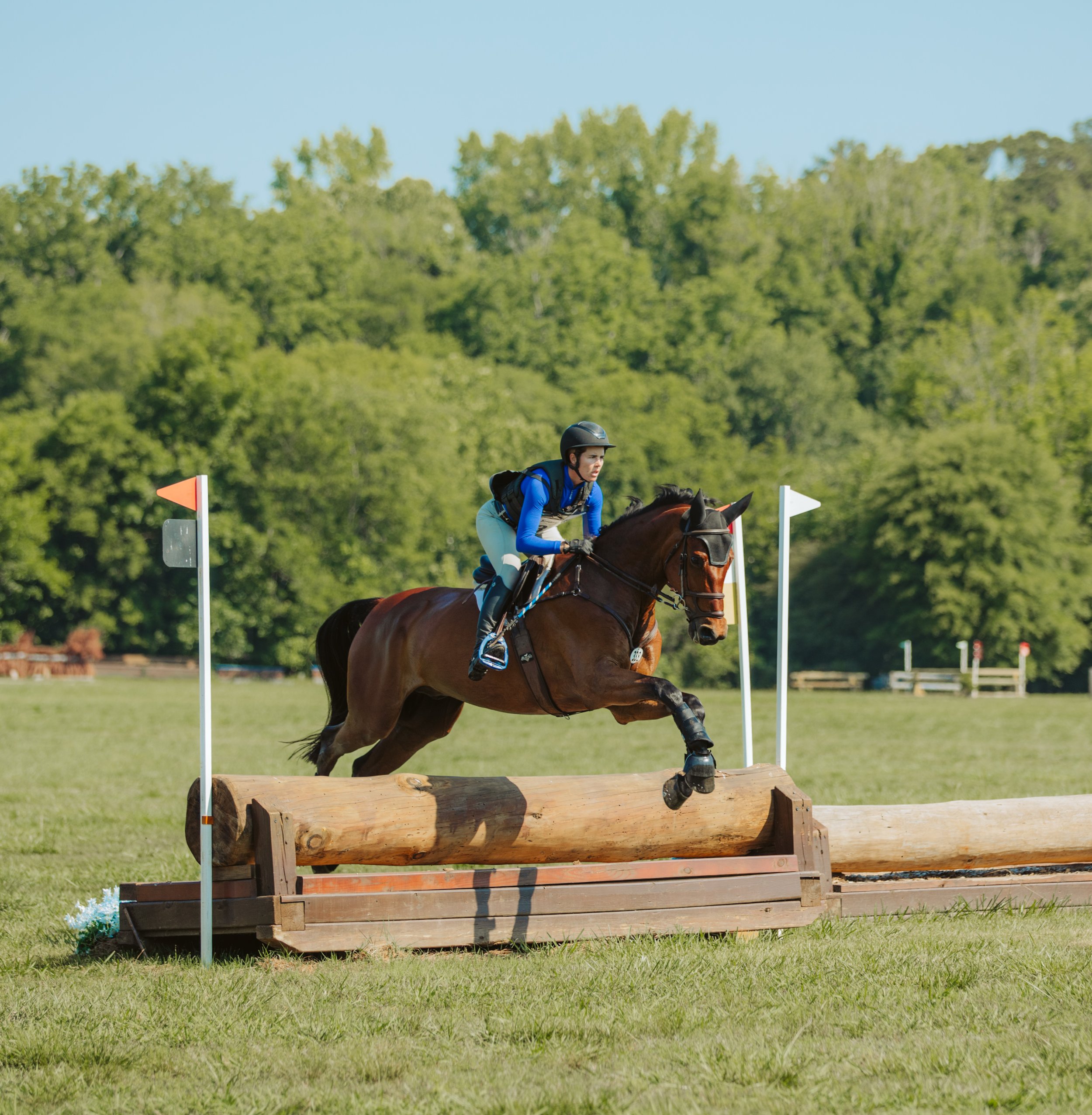 stephany-barboza-photographer-ga-horse-show1K9A9871.JPG
