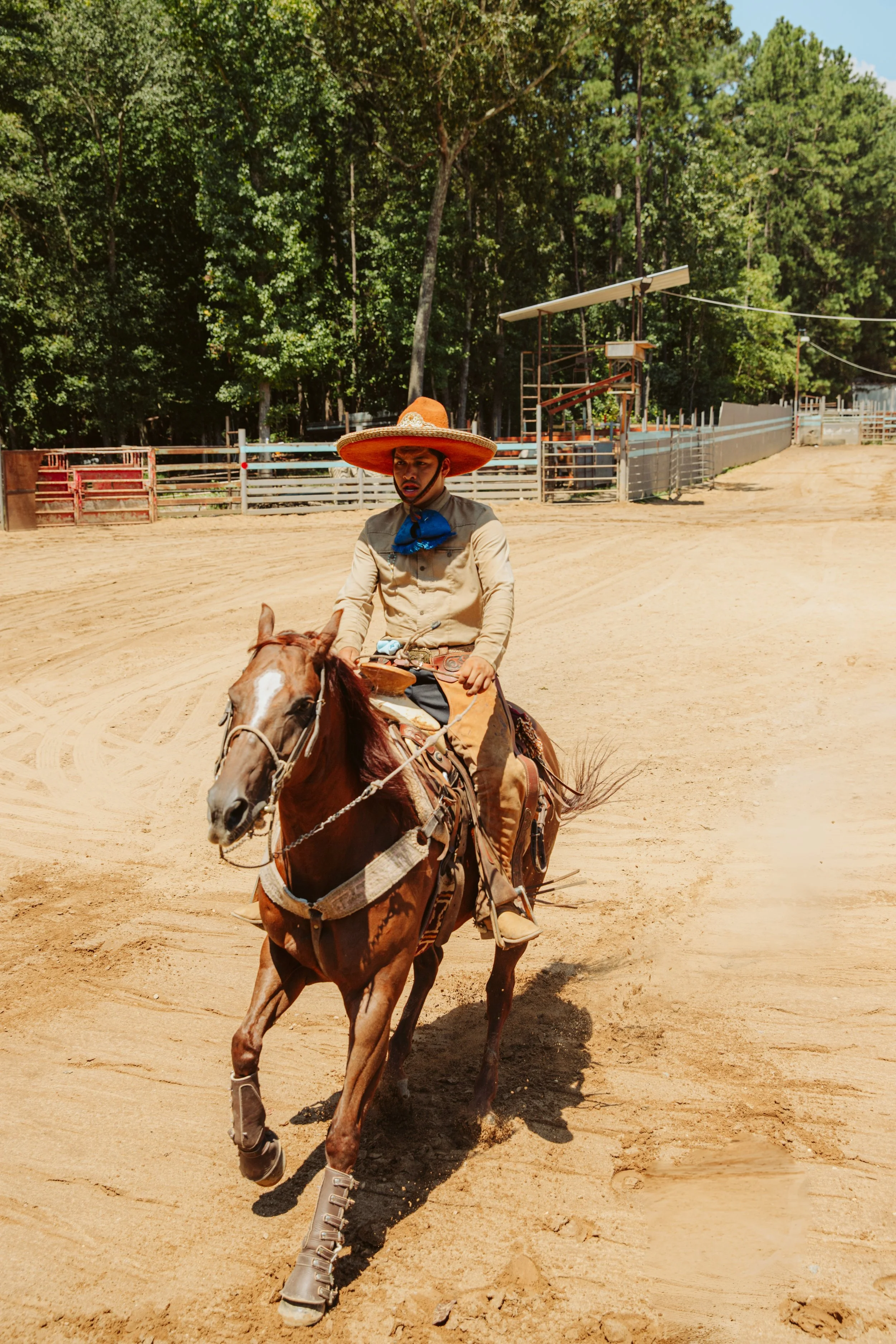 Charro Horse and Rider in the Arena