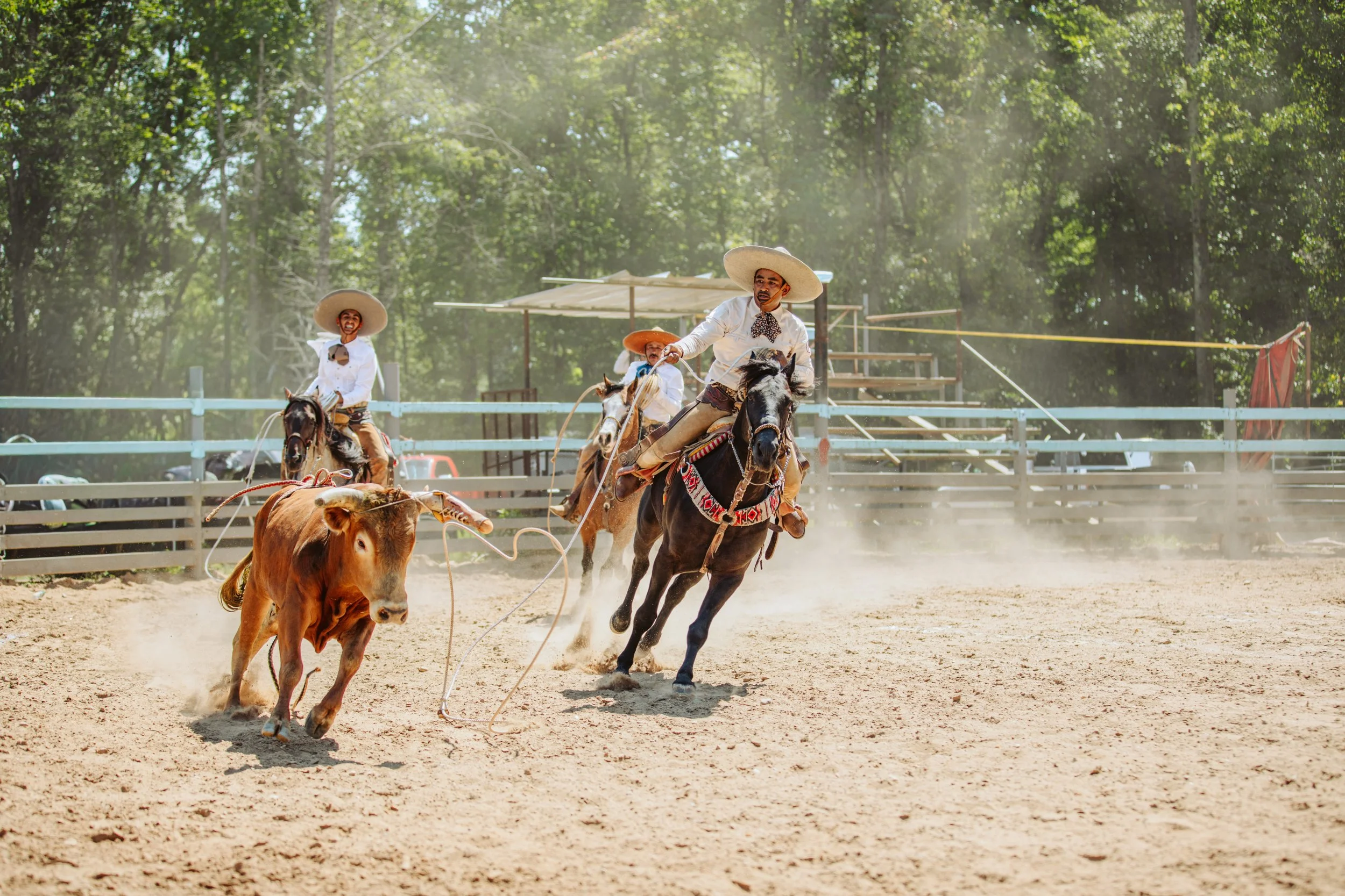 Charros Demonstrating Horsemanship