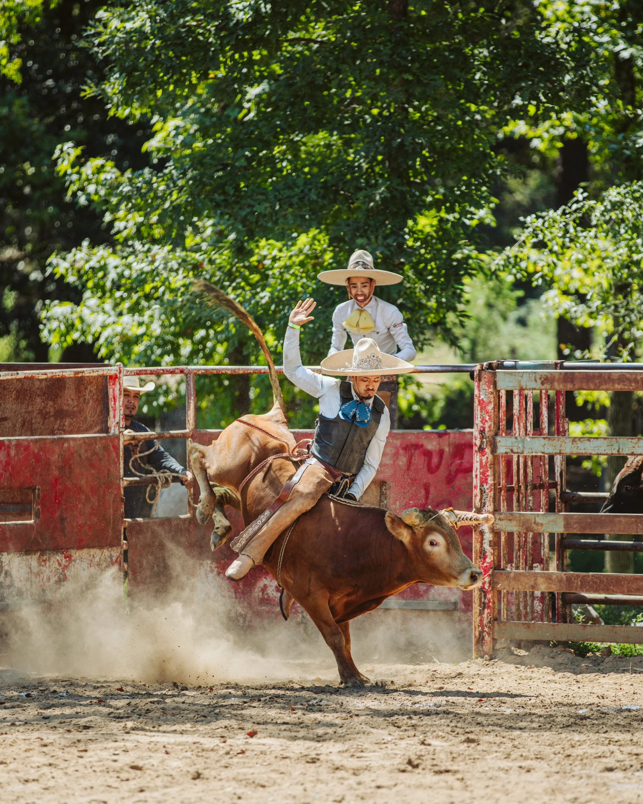 Charro Rider Near the Arena Fence
