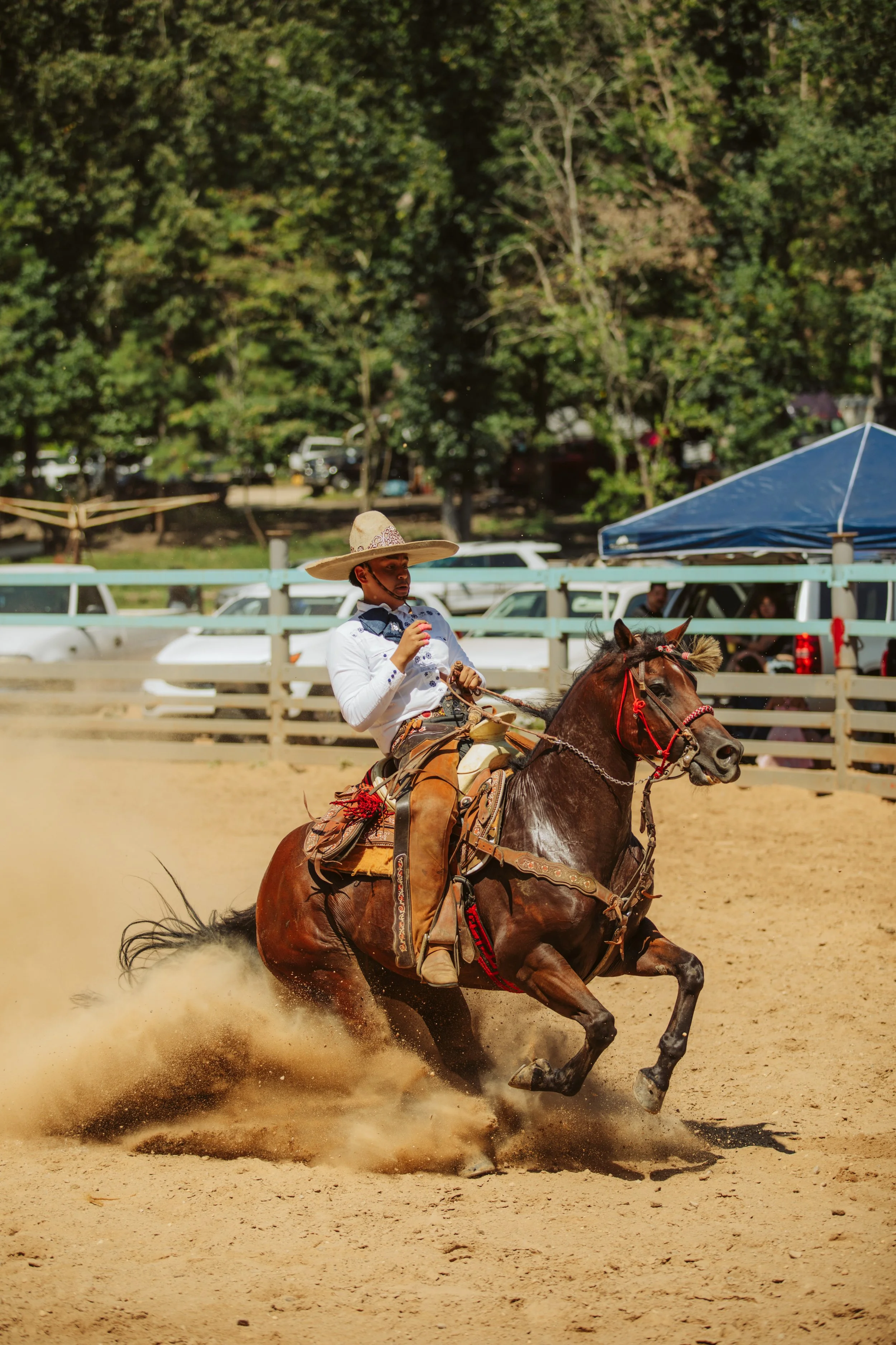 Charro Horse Performing a Fast Maneuver