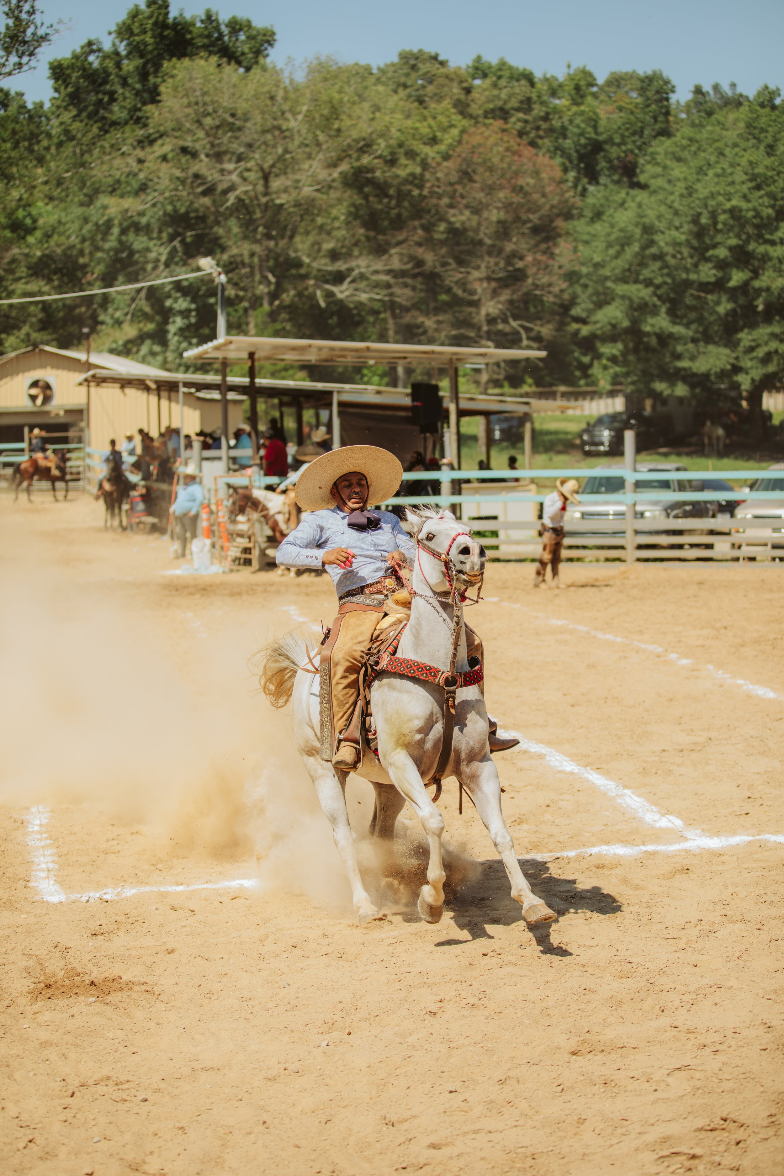 Traditional Charro Saddle and Horse