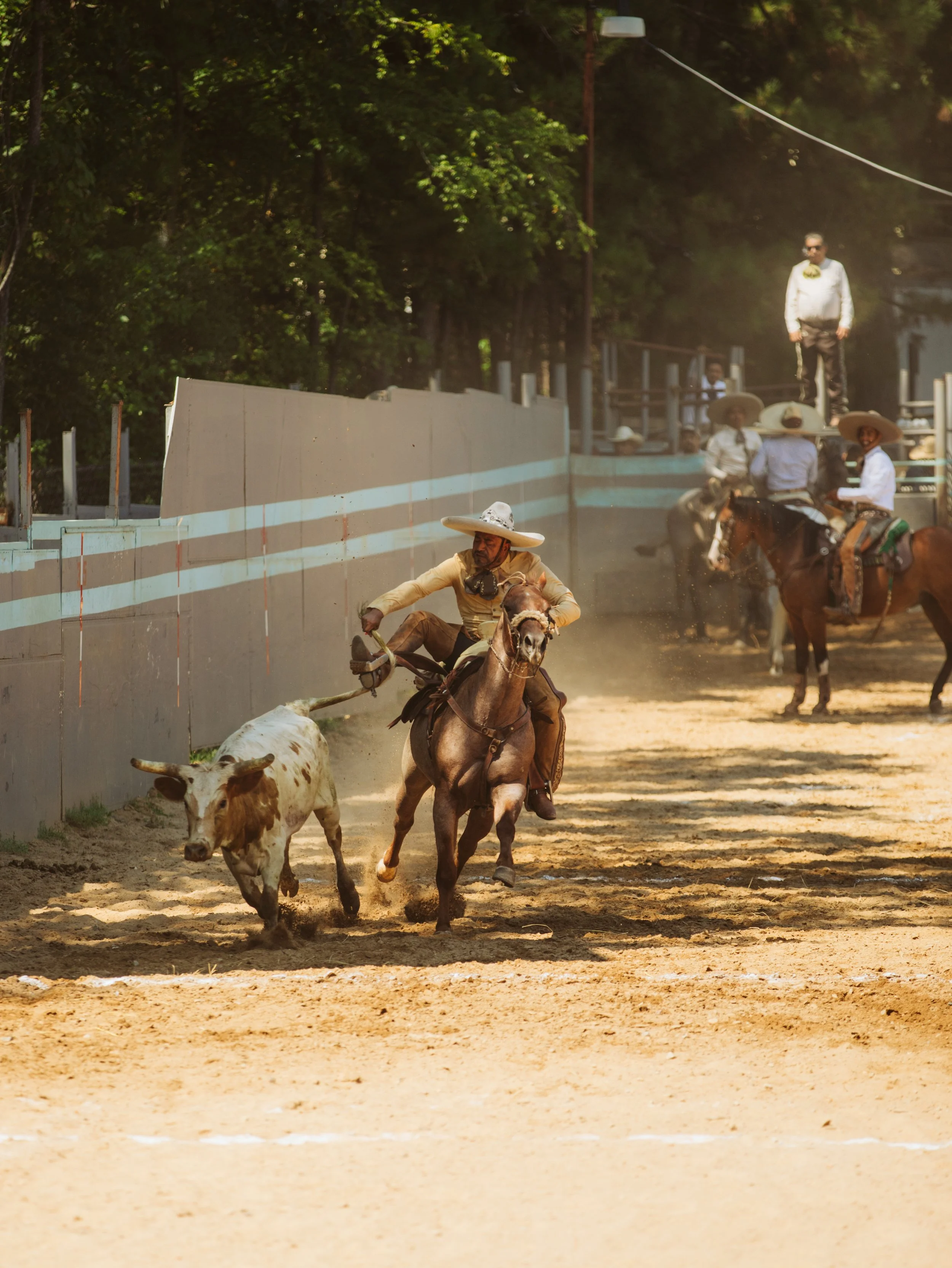 Charro Riding a Horse at Rancho Los Gavilanes