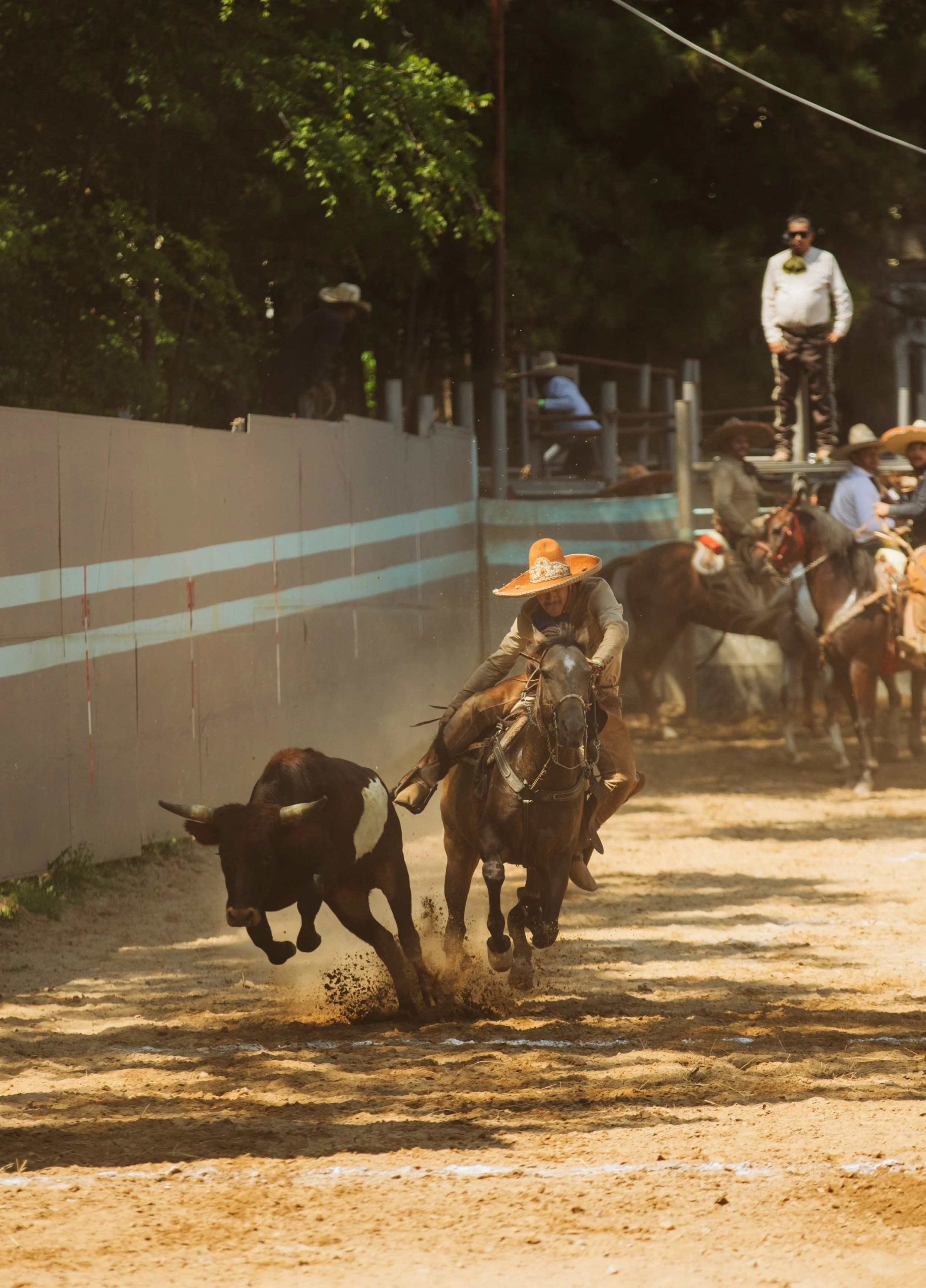 Charro Rider Surrounded by Dust