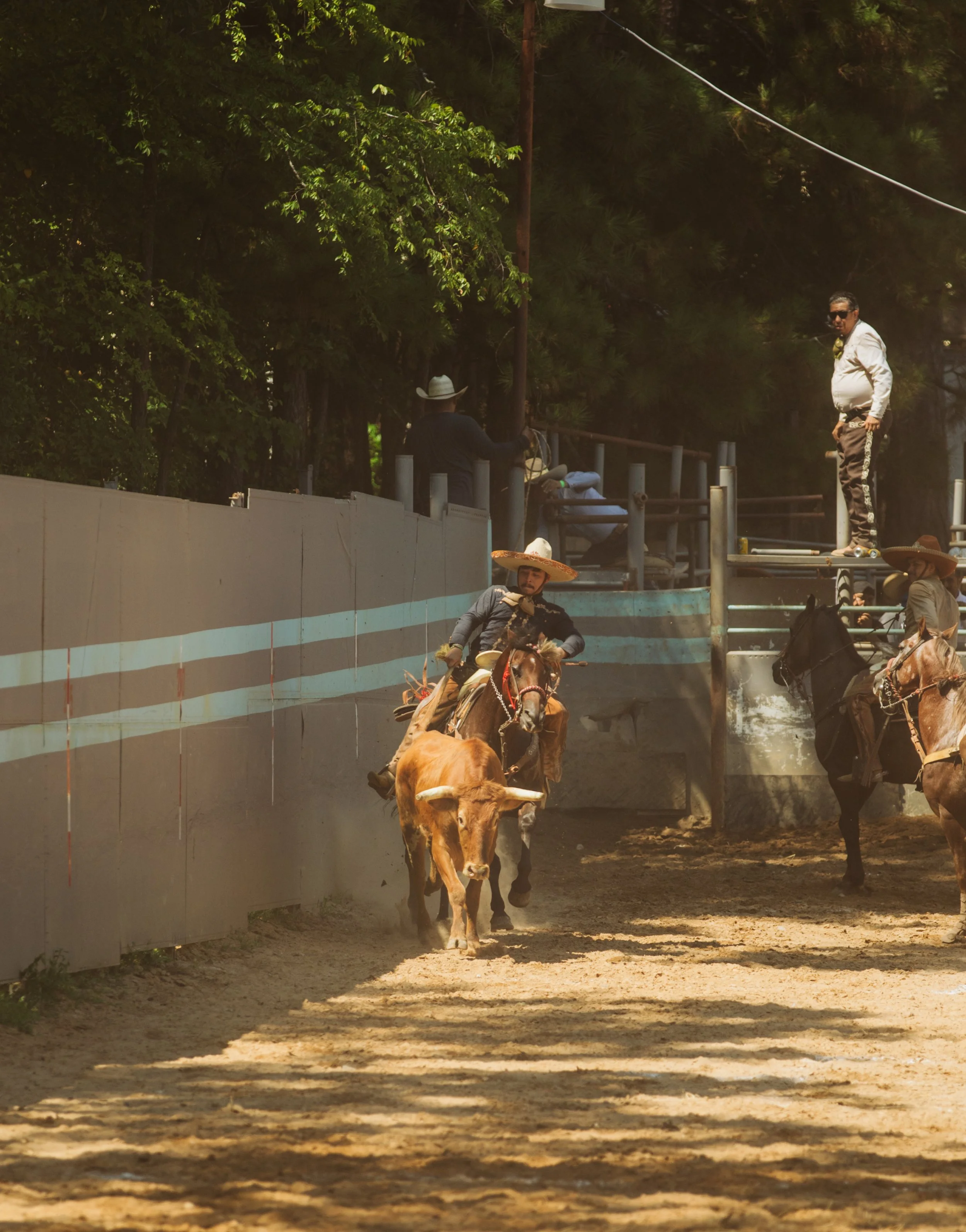 Charro Riders Crossing the Arena