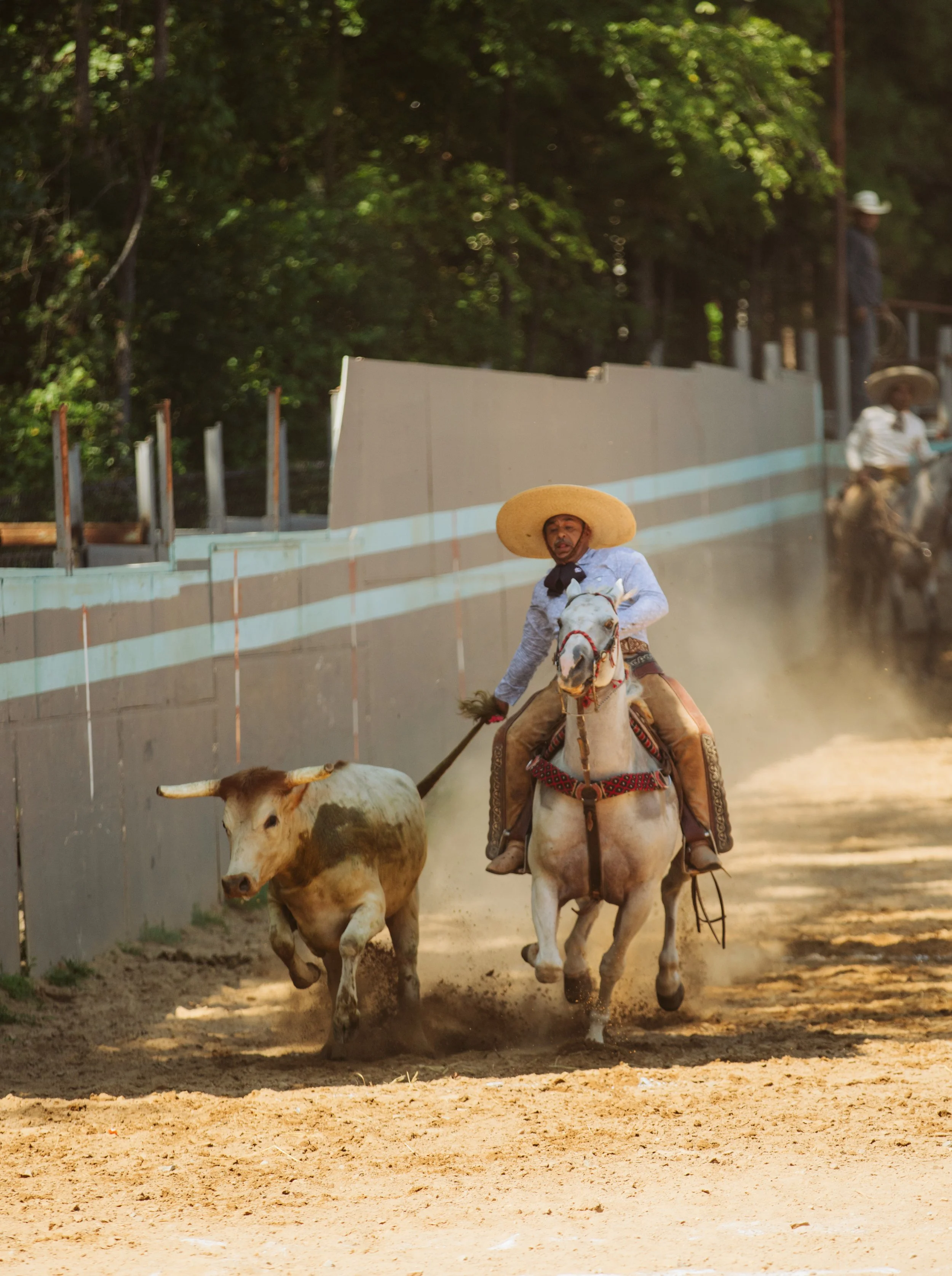 Charro Horse and Rider in Motion