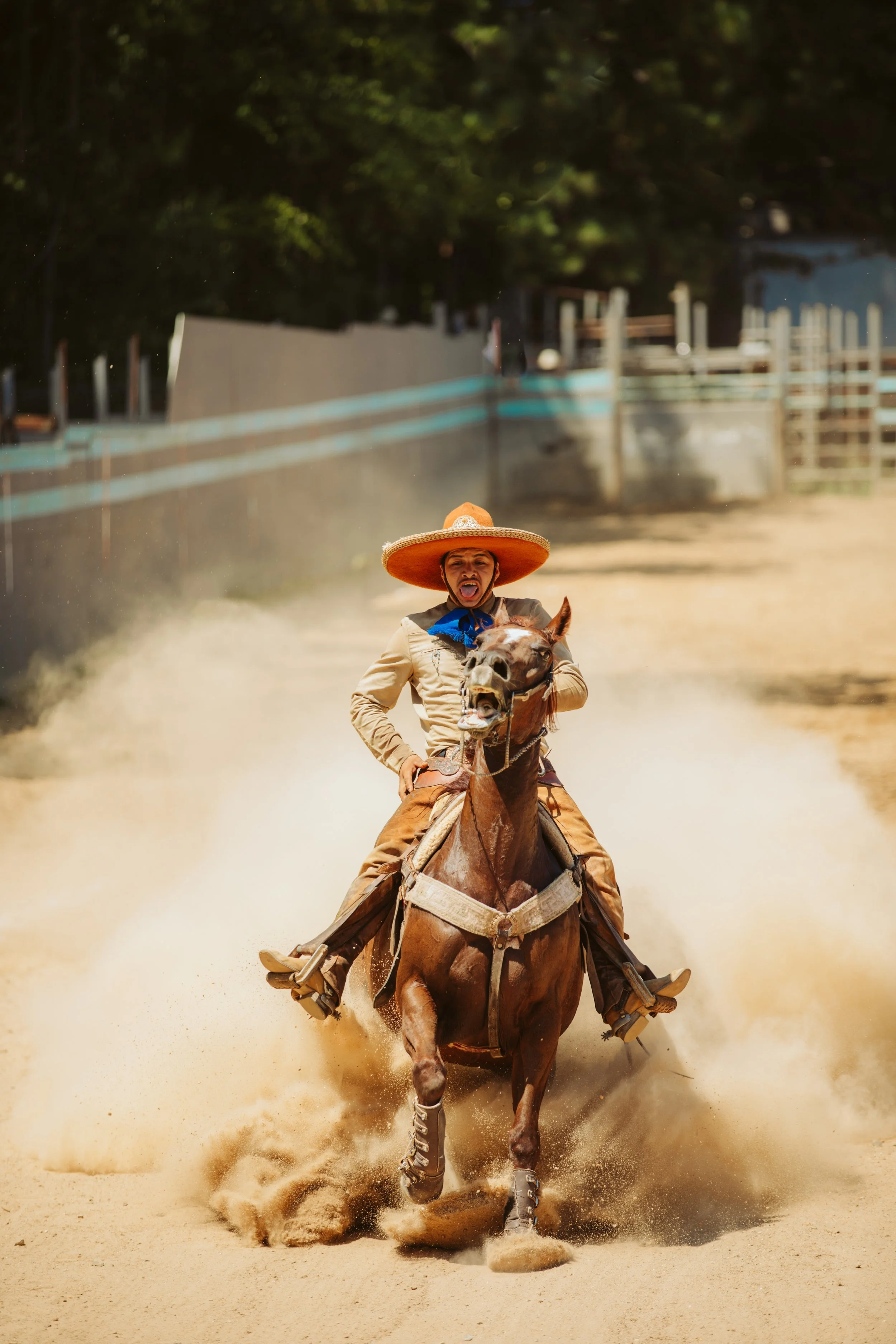 Charro Performing a Horseback Maneuver