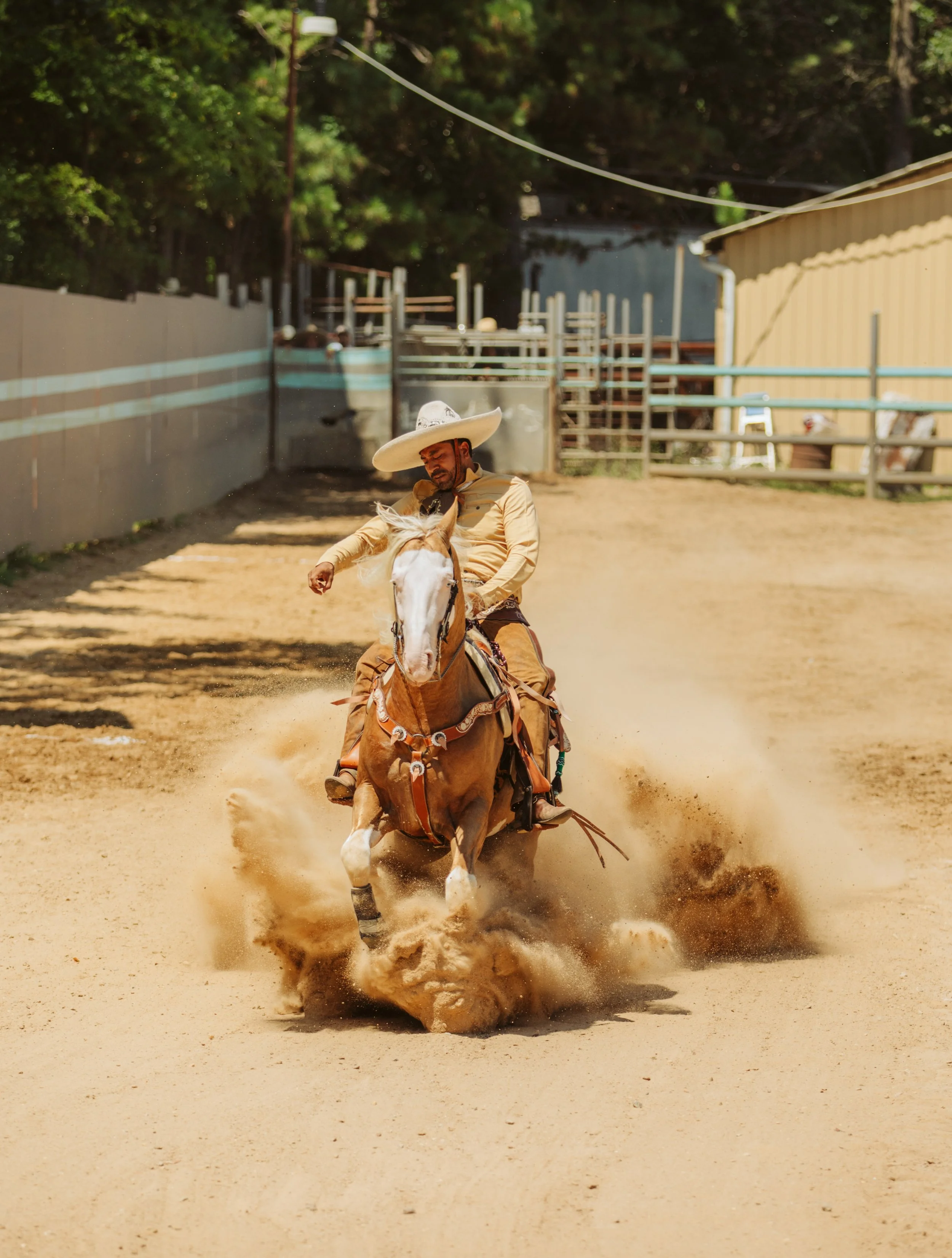 Charro and Horse in a Dramatic Maneuver