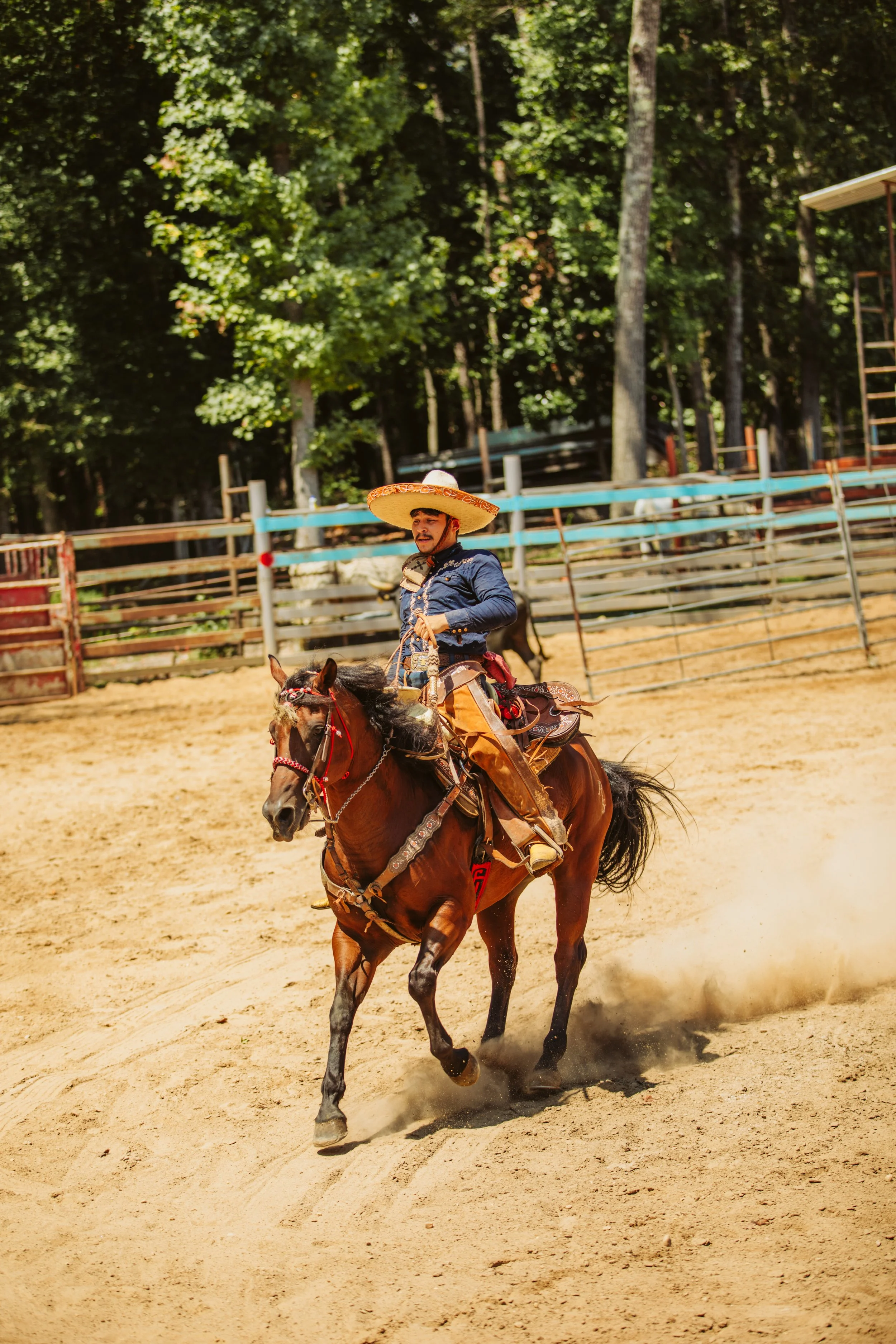 stephany-barboza-photography-ga-photographer-charros1K9A0369.jpeg