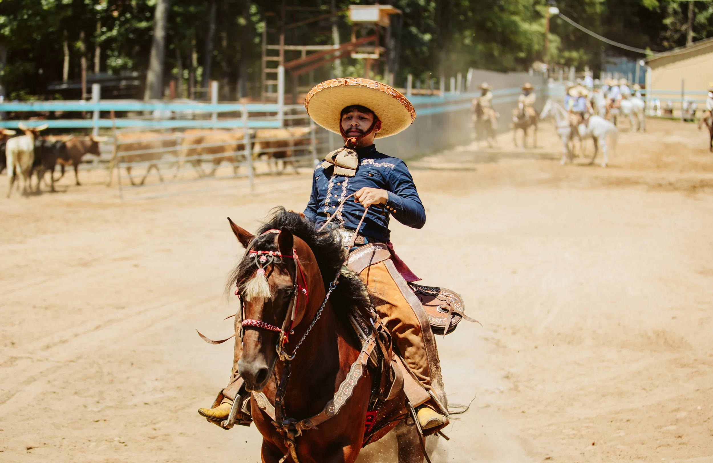 stephany-barboza-photography-ga-photographer-charros1K9A0287.jpeg